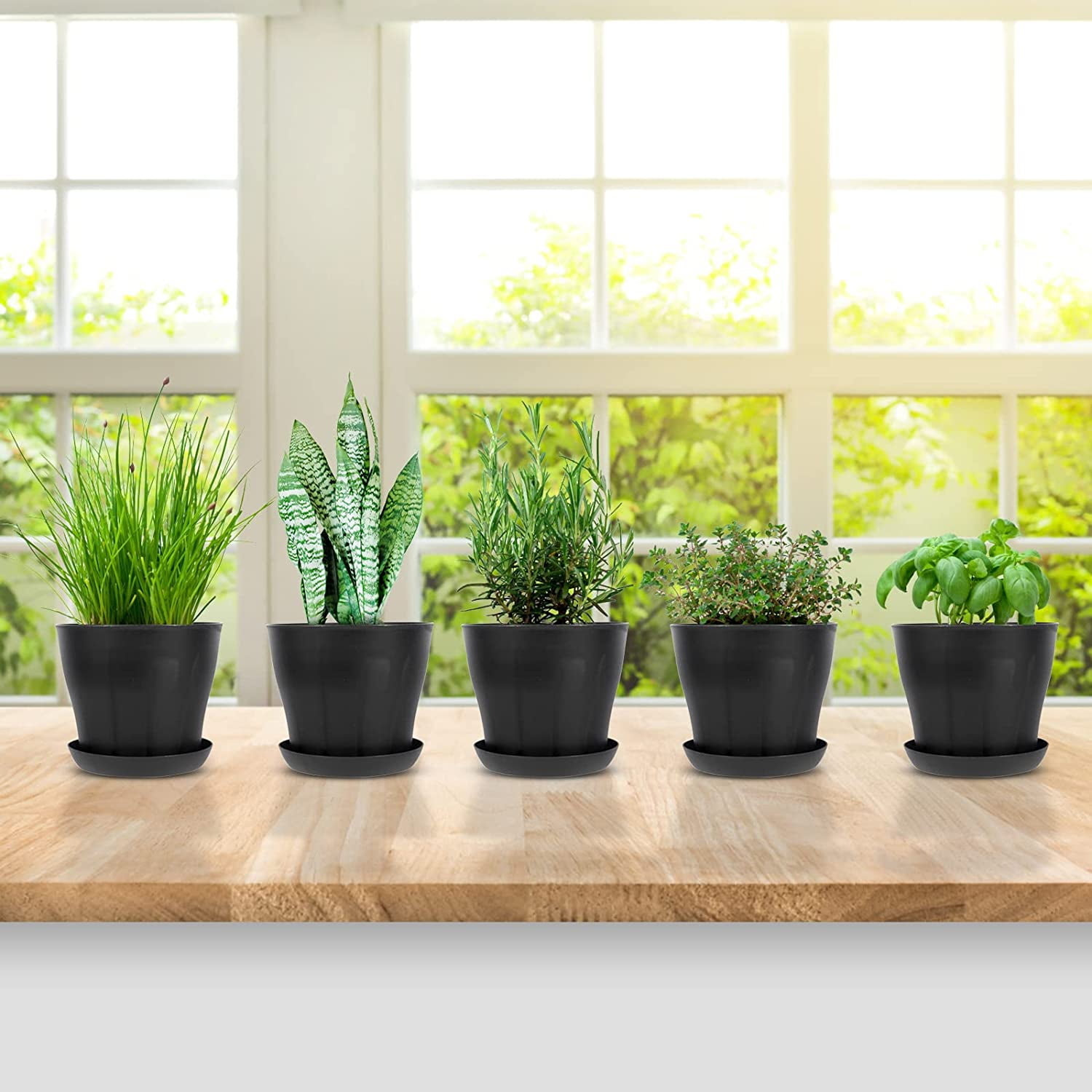 Tutuviw 4 inch Plant Pots,Plastic Planters with Drainage Holes and Saucers for Flowers Plants, Succulents,Seed Starting Pots, Black，8Pack 4inch-Black - Image 6