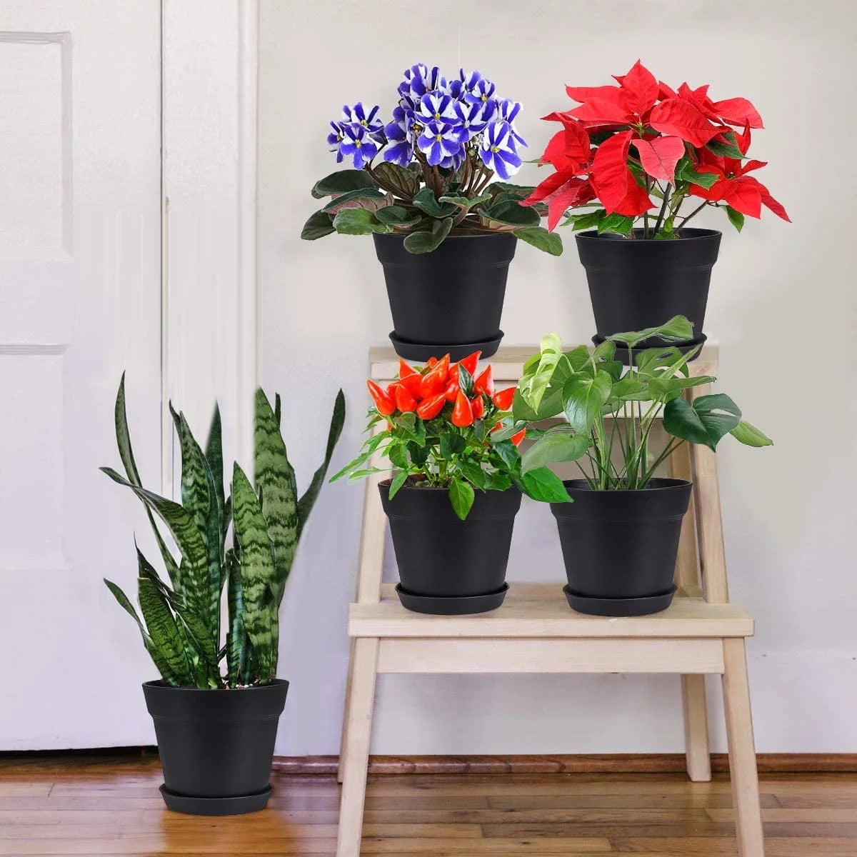 Pots for Plants, 8 Pack 4.8 inch Plastic Planters with Multiple Drainage Holes and Trays - Plant Pots for All Home Garden Flowers Succulents (White) 4inch-Black1 - Image 3