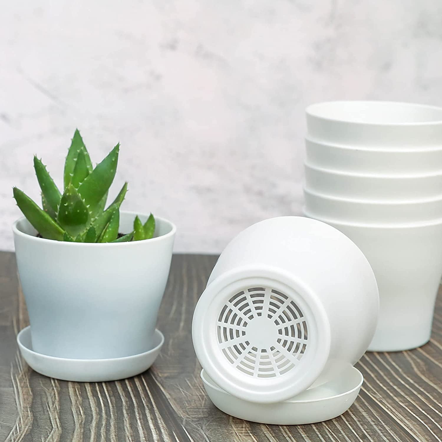 Pots for Plants, 8 Pack 4 inch Plastic Planters with Multiple Drainage Holes and Trays - Plant Pots for All Home Garden Flowers Succulents (White) 4inch-White - Image 2