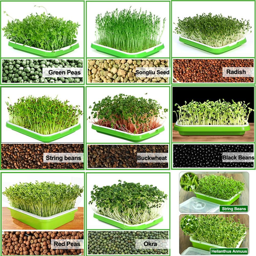Tutuviw BPA Free Hydroponics Soilless Seeds Sprouter Microgreen Seed Sprouter Trays Seed Germination Double Tier Grow Trays with Lid 1PCS-Seed Sprouter Tray - Image 6