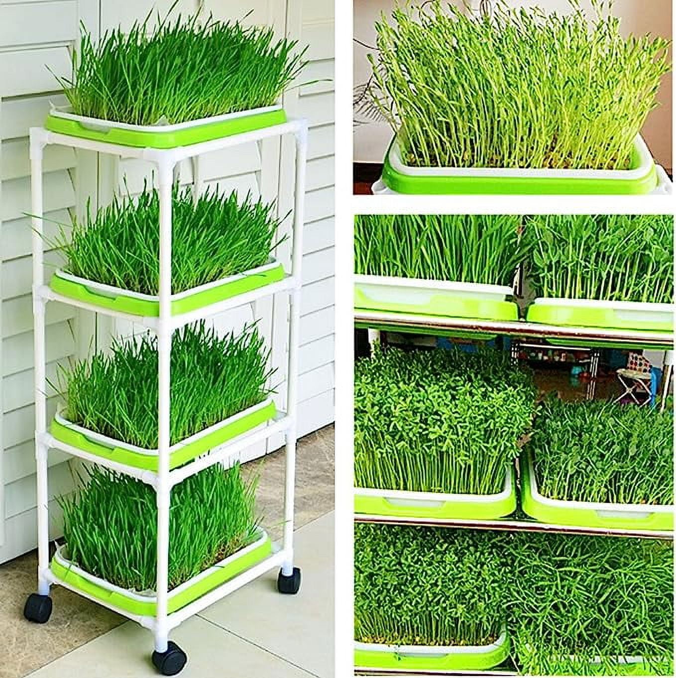 Tutuviw BPA Free Hydroponics Soilless Seeds Sprouter Microgreen Seed Sprouter Trays Seed Germination Double Tier Grow Trays with Lid 1PCS-Seed Sprouter Tray - Image 7