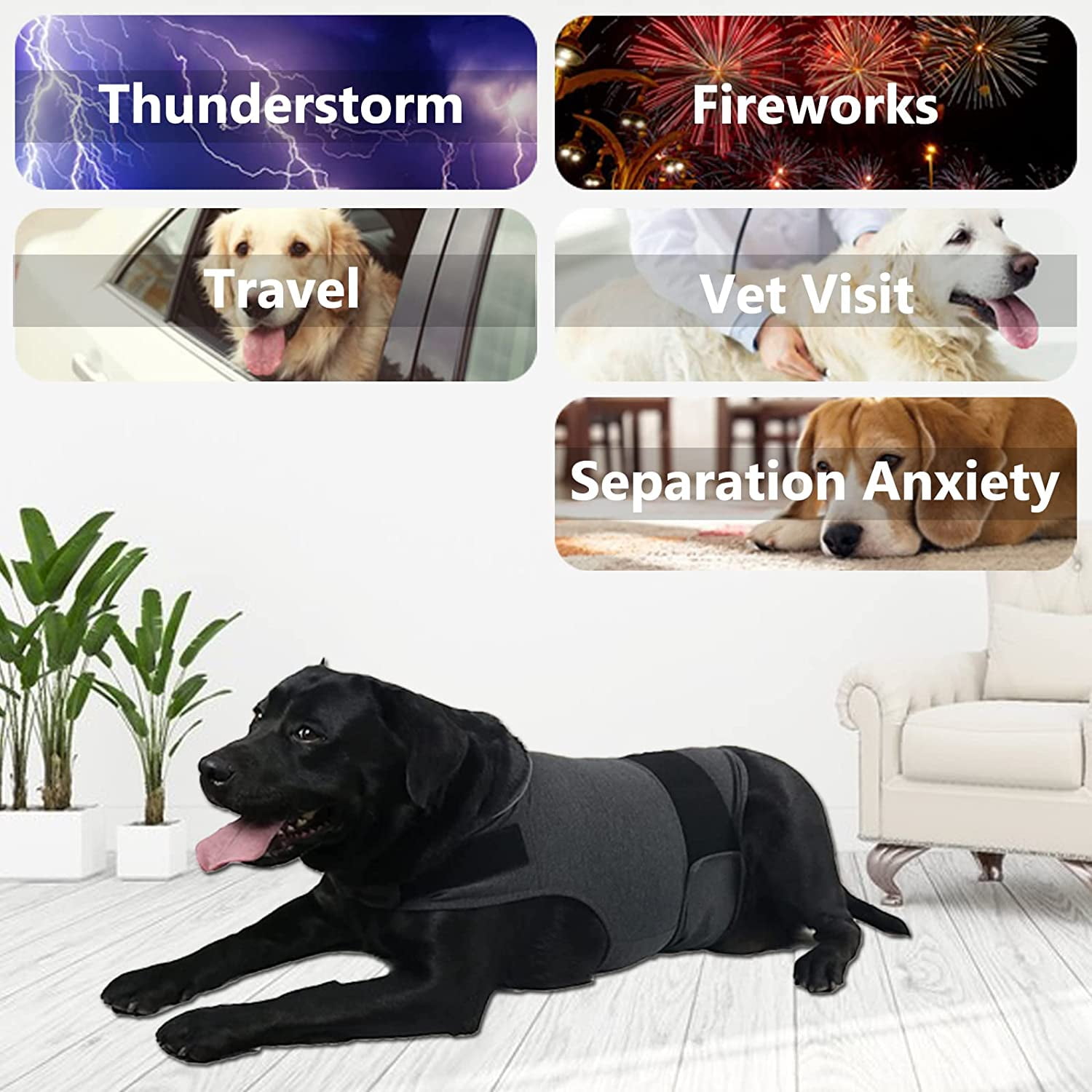 Dog Jacket, Skin-Friendly Dog Calming Vest - Dog Shirt for Thunder, Fireworks and Separation - Keep Pet Calm Without Medicine & Training, Anti Anxiety Vest for Dogs S Dark Grey - Image 5