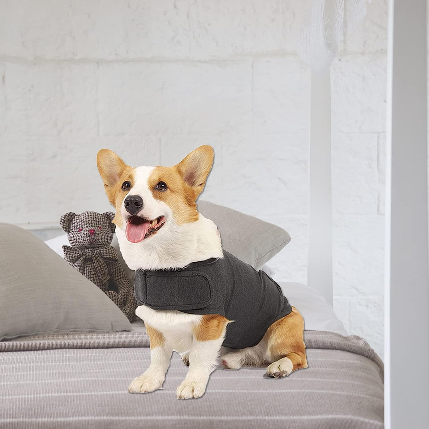 Dog Jacket, Skin-Friendly Dog Calming Vest - Dog Shirt for Thunder, Fireworks and Separation - Keep Pet Calm Without Medicine & Training, Anti Anxiety Vest for Dogs S Dark Grey - Image 7