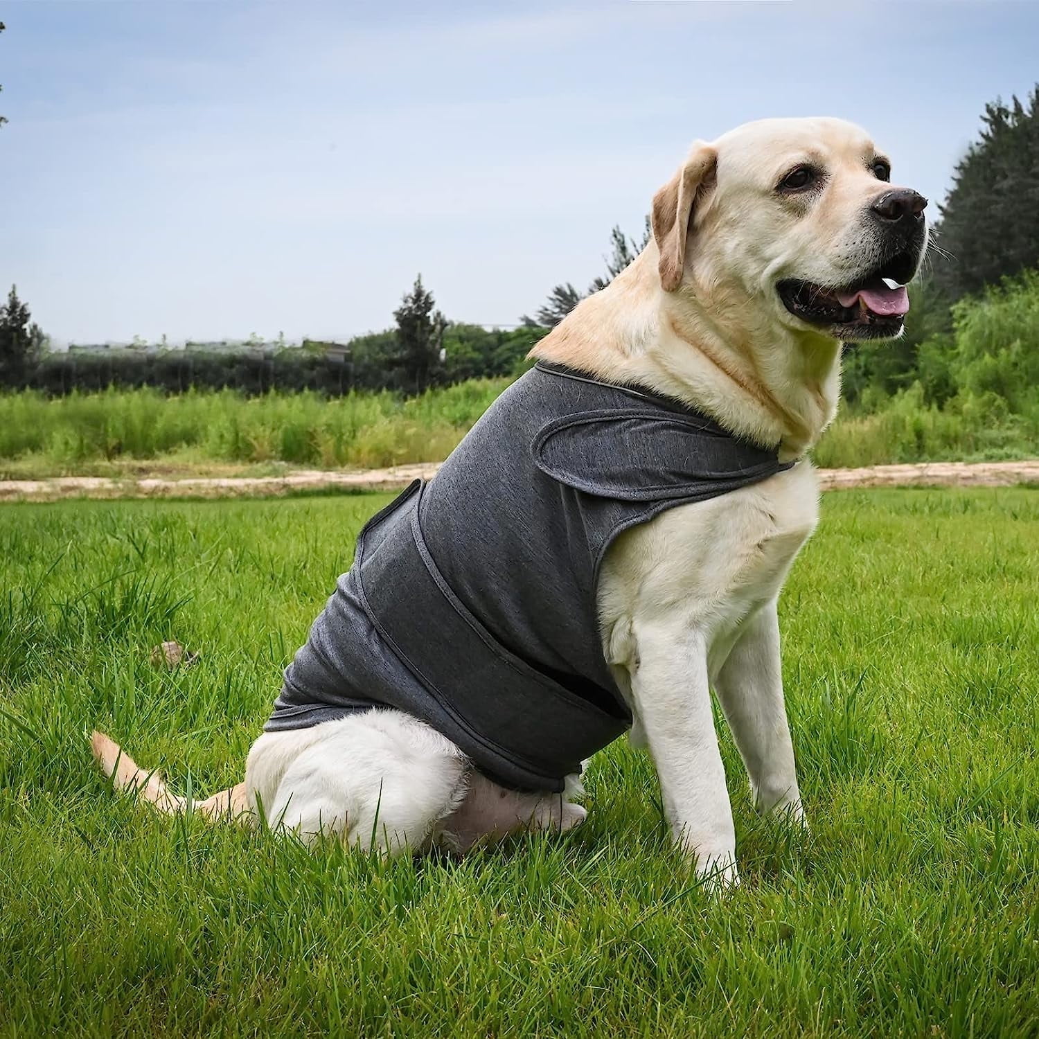 Dog Jacket, Skin-Friendly Dog Calming Vest - Dog Shirt for Thunder, Fireworks and Separation - Keep Pet Calm Without Medicine & Training, Anti Anxiety Vest for Dogs XL Dark Grey - Image 6