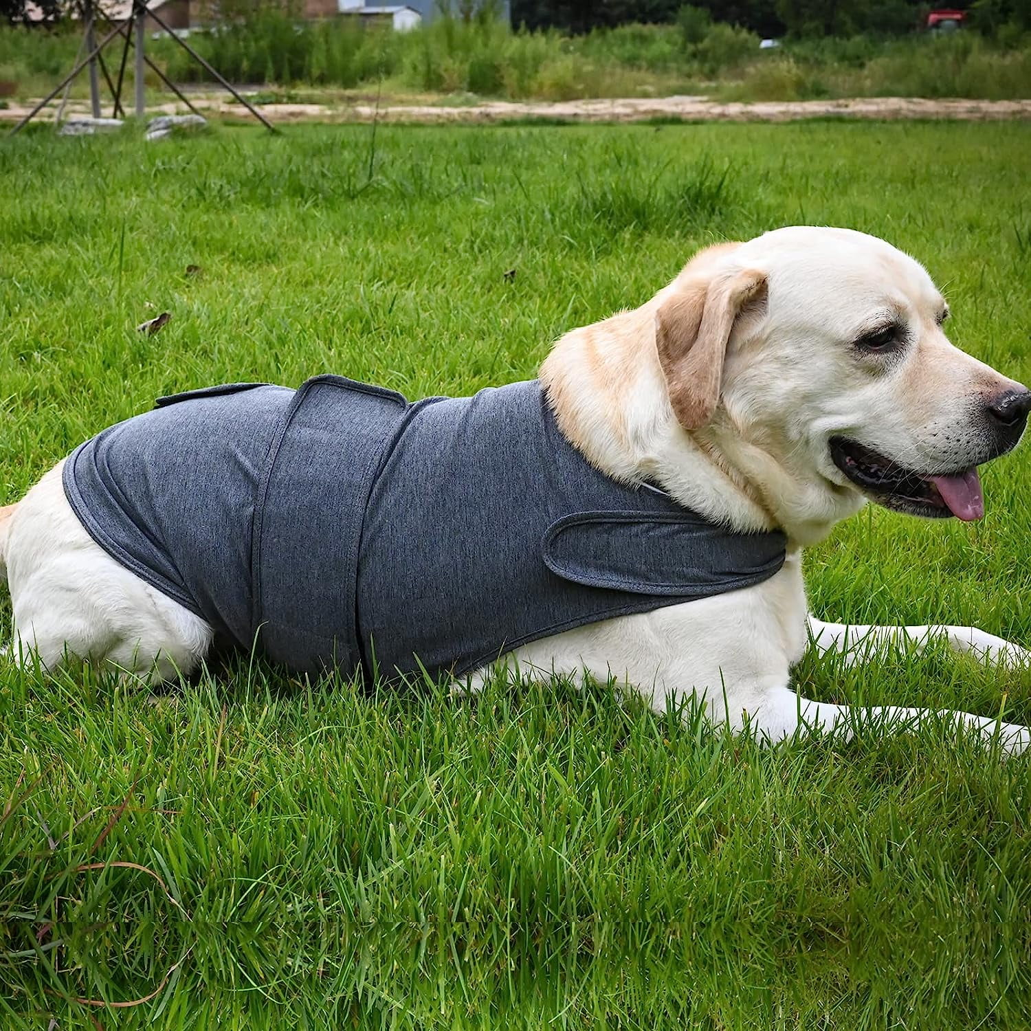 Dog Jacket, Skin-Friendly Dog Calming Vest - Dog Shirt for Thunder, Fireworks and Separation - Keep Pet Calm Without Medicine & Training, Anti Anxiety Vest for Dogs 2XL Red - Image 3