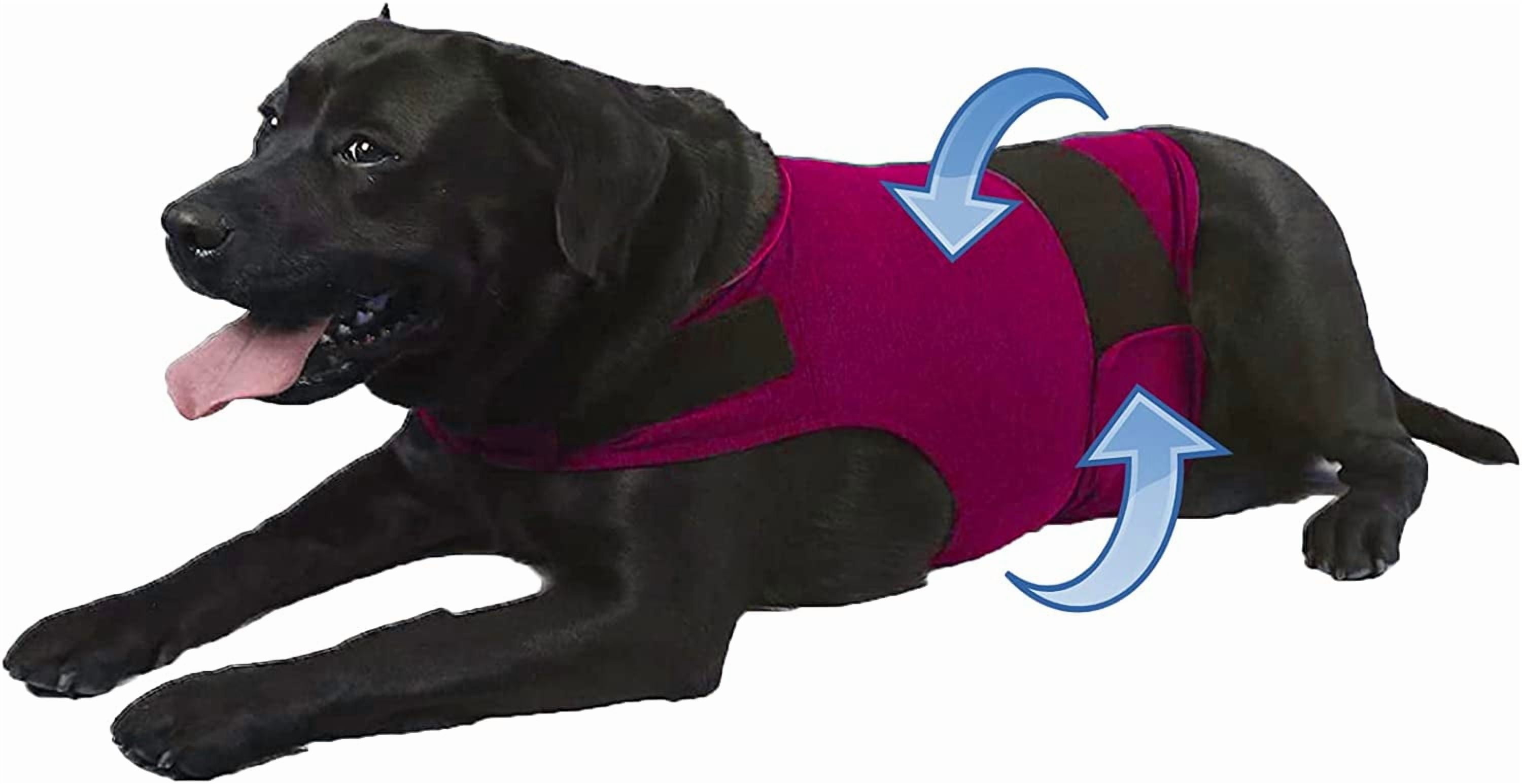 Dog Jacket, Skin-Friendly Dog Calming Vest - Dog Shirt for Thunder, Fireworks and Separation - Keep Pet Calm Without Medicine & Training, Anti Anxiety Vest for Dogs XL Rose Red - Image 1