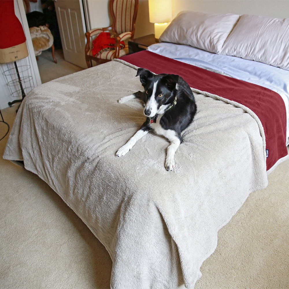 Pawsse Waterproof Pet Blanket, Pee Urine Proof Dog Blanket Cover for Couch Bed Furniture Protector, Liquid Proof Blanket for Small Medium Dogs, Buffale Red/Tuape, 50” x 60”. Wine/Tuape - Image 1