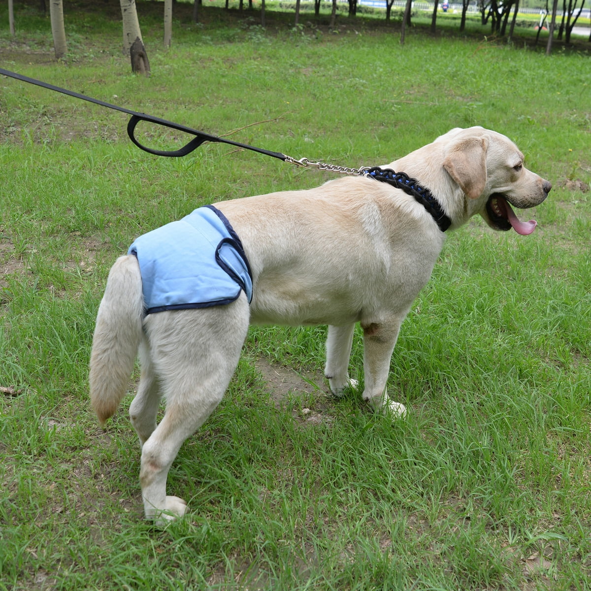 Comfortable Dog Underwear Dog Diapers Pants Male Female to Put On/Off Breathable Physiological Pants Reusable Sanitary Panties for Small to Large Dogs Pet (1pcs, Pink, XL) L Blue - Image 4