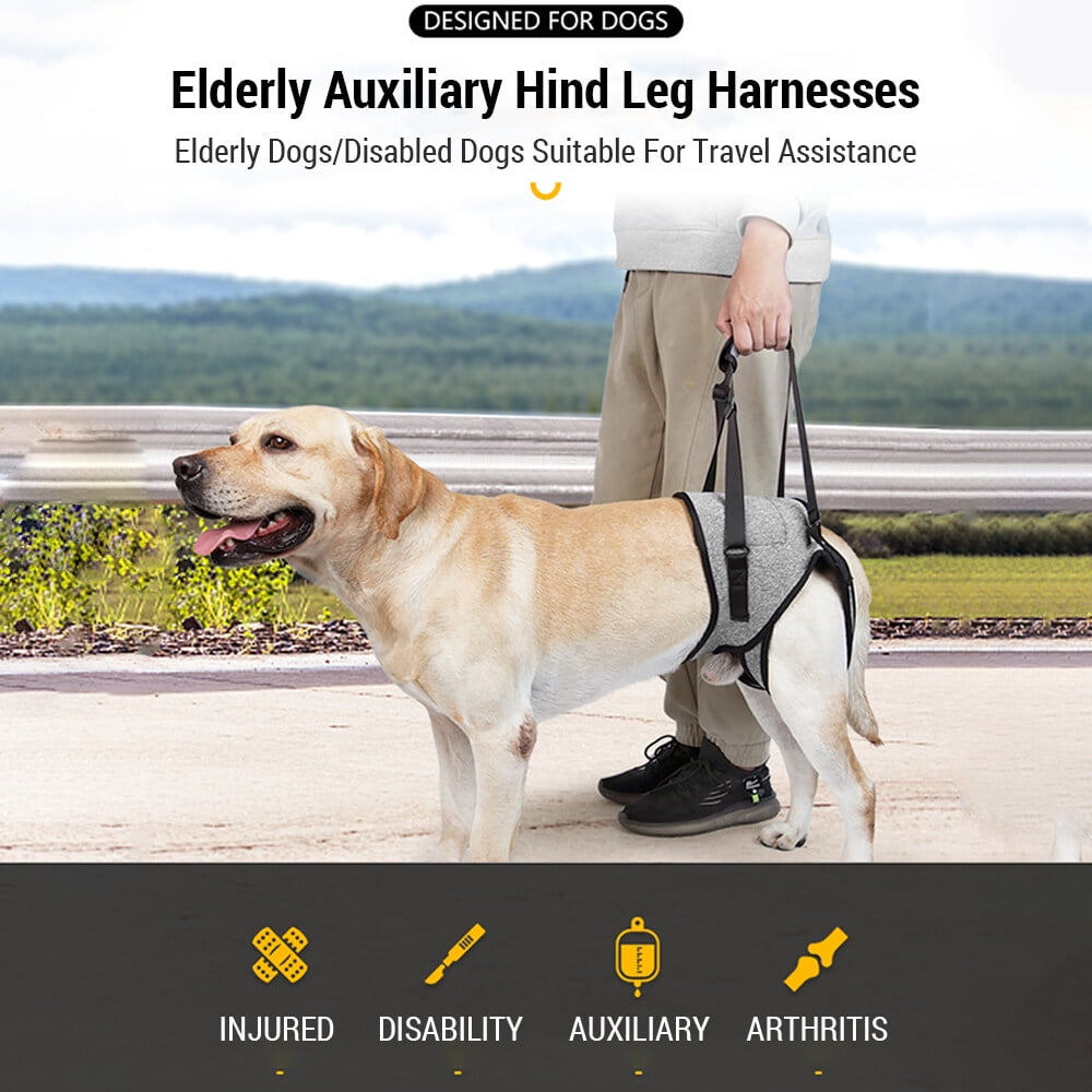 Dog Sling for Large Dogs Hind Leg Adjustable Dog Lift Harnesses For Walking/Climbing Pet Auxiliary Slings for Elderly, Disabled Dogs S - Image 8