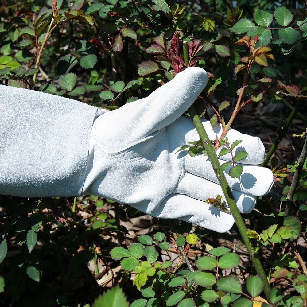 SUCCLACE Long-Gardening-Gloves for Women/Men - Thorn Proof Cowhide Leather Rose/Blackberry Pruning Heavy Duty Gloves Thick Palm Gauntlet Garden Work Gloves with Forearm Protection (Brown-Small) M Brown - Image 3