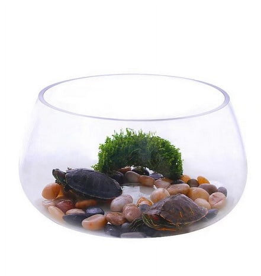 Round Clear Glass Fish Bowl Small Transparent Aquarium Tank for Desktop Fish Tank Landscaping and Turtle Habitat 0.00X0.00X0.00CM Transparent - Image 1