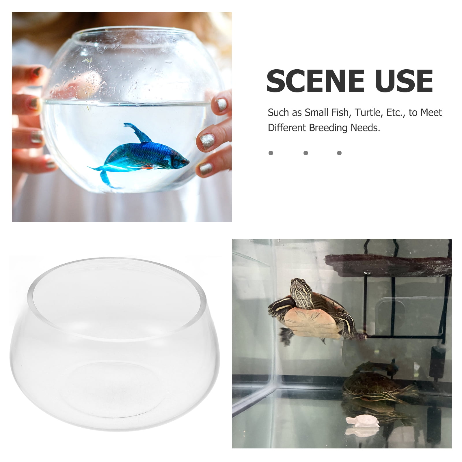 Round Clear Glass Fish Bowl Small Transparent Aquarium Tank for Desktop Fish Tank Landscaping and Turtle Habitat 0.00X0.00X0.00CM Transparent - Image 3