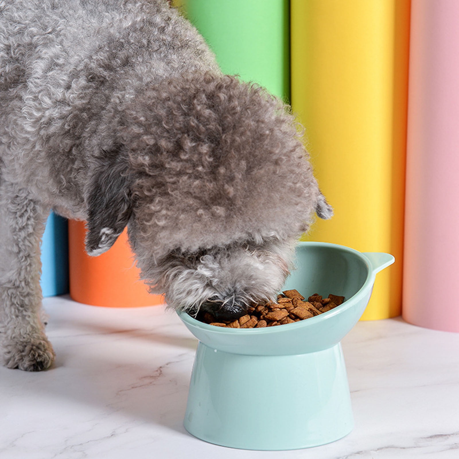 Darzheoy Raised Cat Food Bowl 15 Degrees Elevated Cat Bowls Anti Vomiting Tilted Raised Cat Food Bowl Plastic Slanted Stand Bowls for Pet Feeder Green - Image 4