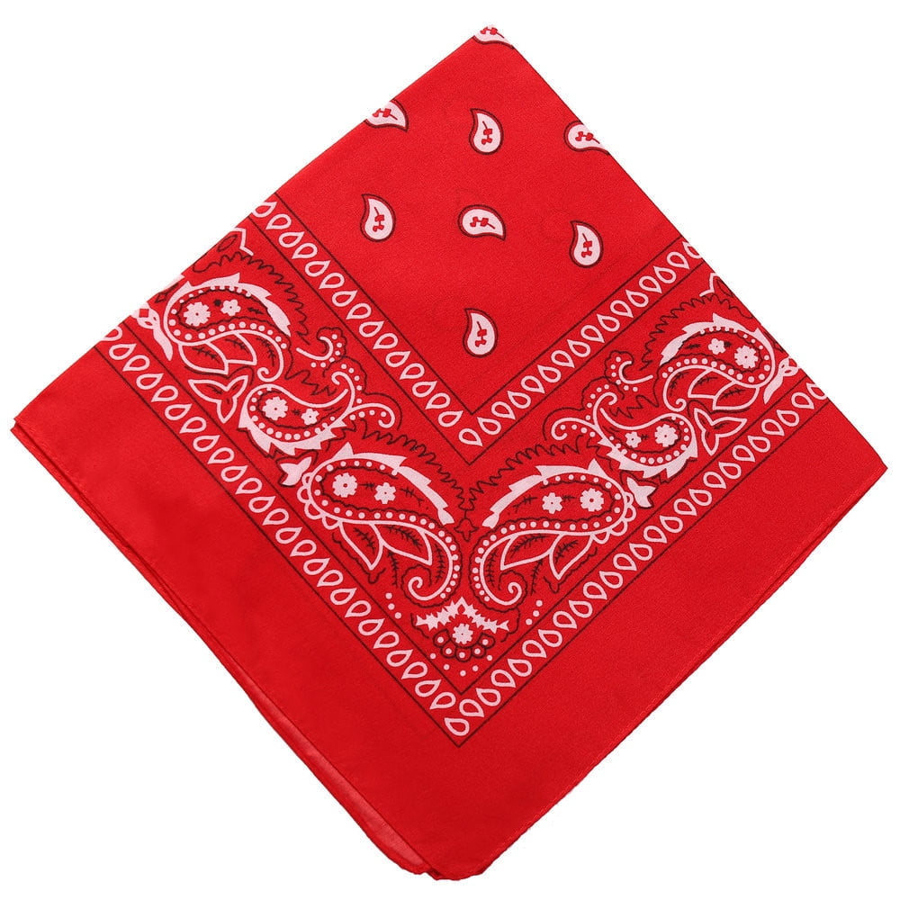 Darzheoy 22 inch Cotton Paisley Bandana Multi Colored Set Cowboy Bandana Head Scarf Double-sided for Men & Women Red - Image 1
