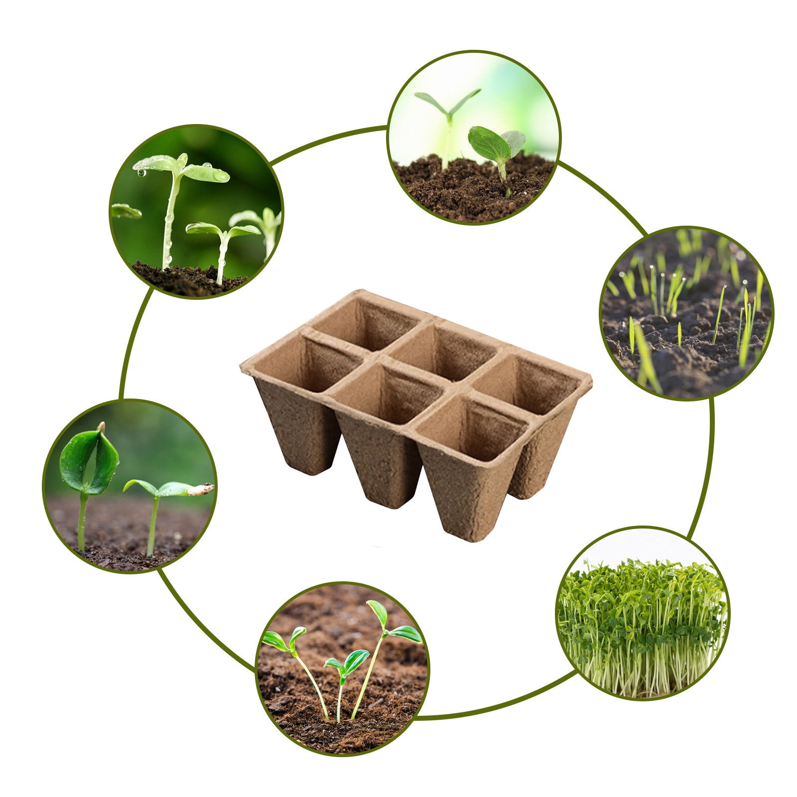Darzheoy 30 Cells Peat Pots Seed Starter Trays 5 Packs Biodegradable Seedling Pots Germination Trays Organic Plant Starter Kit B - Image 6