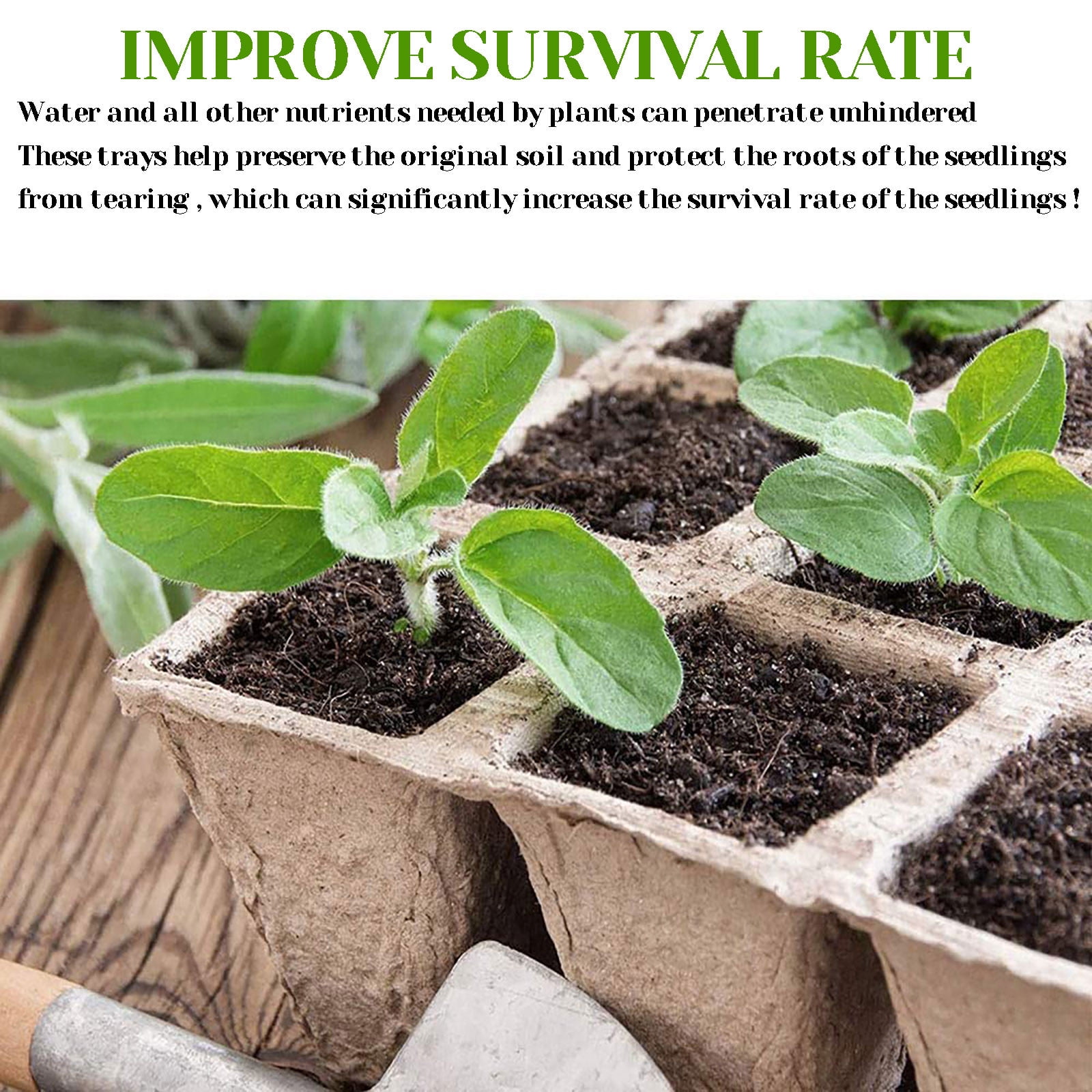 Darzheoy 30 Cells Peat Pots Seed Starter Trays 5 Packs Biodegradable Seedling Pots Germination Trays Organic Plant Starter Kit B - Image 7