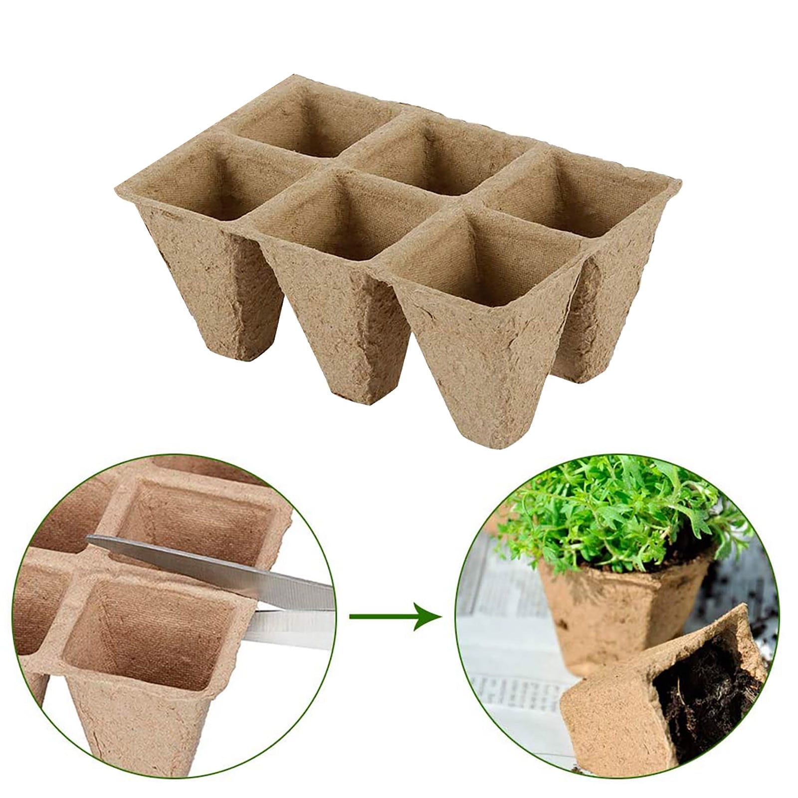 Darzheoy 30 Cells Peat Pots Seed Starter Trays 5 Packs Biodegradable Seedling Pots Germination Trays Organic Plant Starter Kit B - Image 8