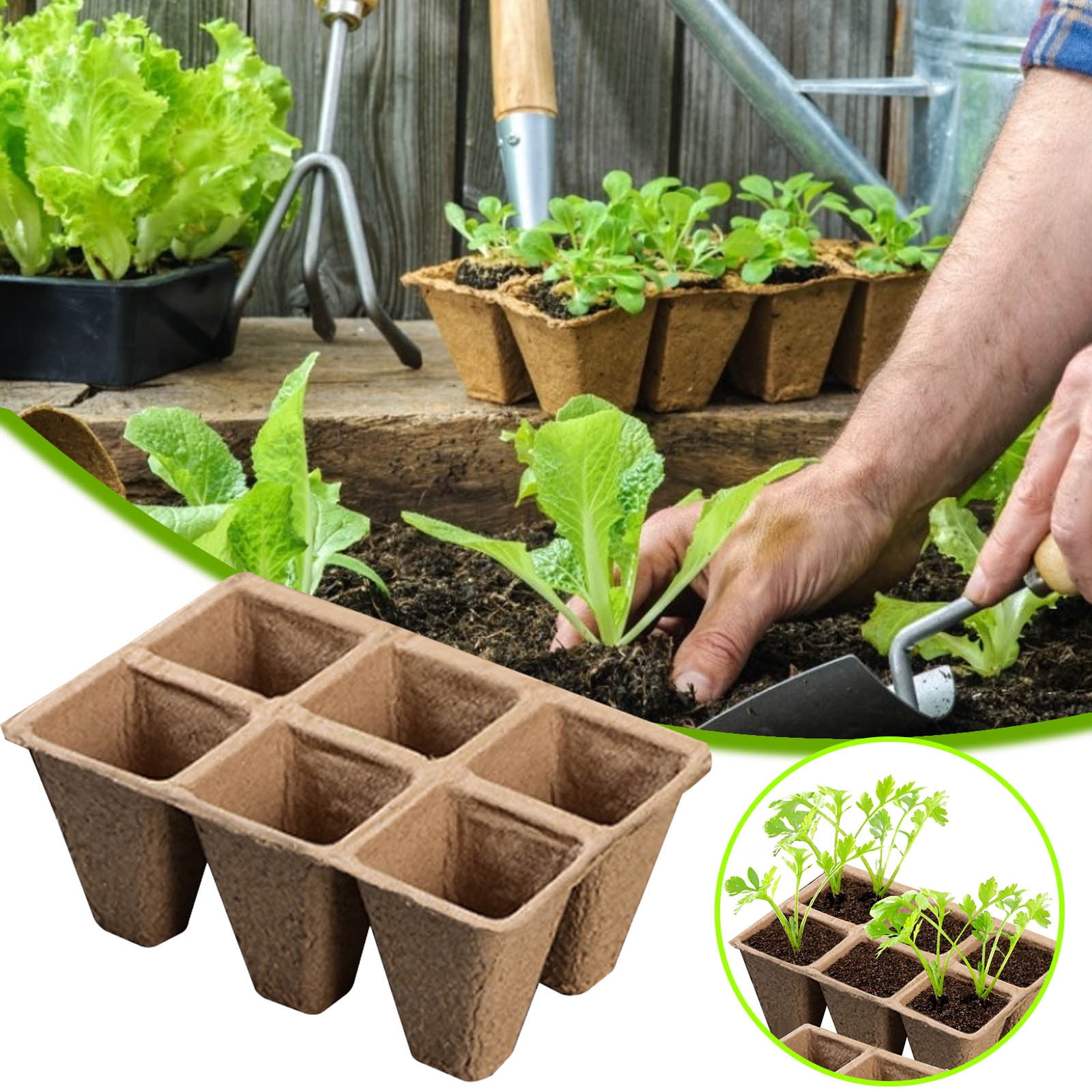 Darzheoy 30 Cells Peat Pots Seed Starter Trays 5 Packs Biodegradable Seedling Pots Germination Trays Organic Plant Starter Kit C - Image 4