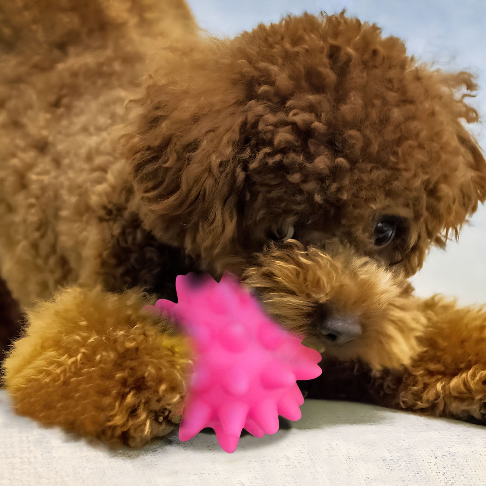 Darzheoy Squeaky Fetch Spike Balls Toys for Pet Small Dogs Puppy Rubber 2 Pack Bright Colors Chew Teething Toys Pet Squeaky Chewing Balls (Random) Multicolor - Image 7