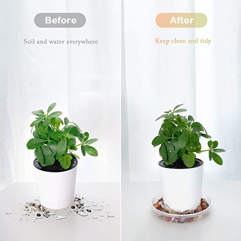 Darzheoy 5 Pack Clear Plastic Plant Saucers Drip Trays Plant Plate Dish for Indoor Planters Flower Pots, 10 inch A - Image 3