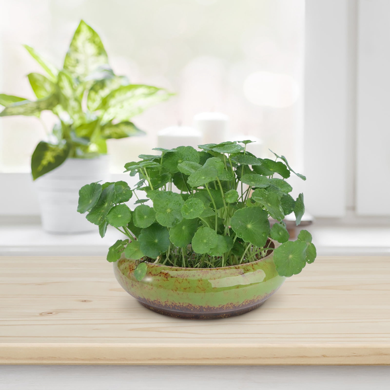 HOOWIFFY Green Ceramic Flower Pot, Hydroponic Planter for Indoor and Outdoor Garden Decor - Image 6