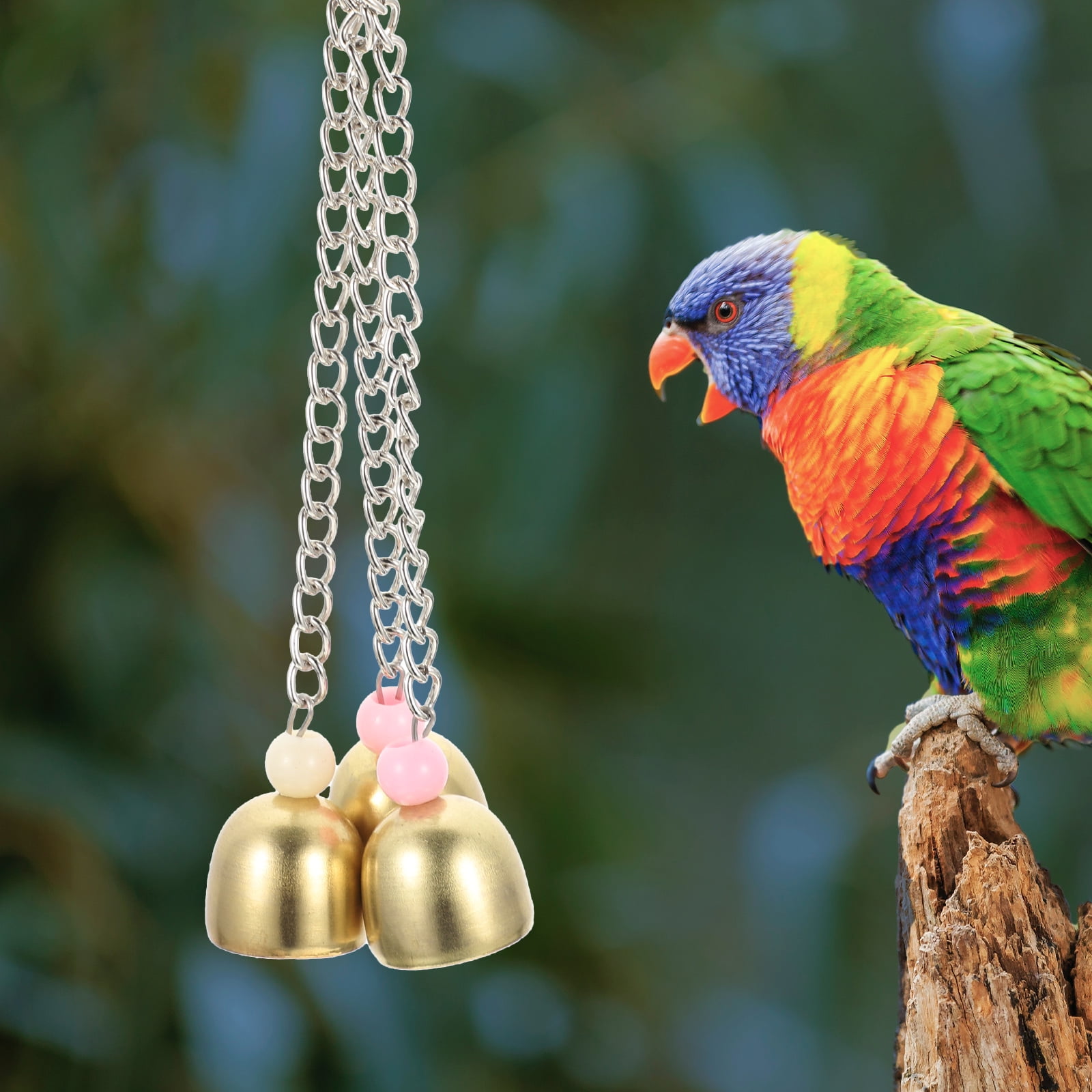 Rattle The Bell Parrot Toy for Large Birds - Stainless Steel Cage Decor for Parakeets, Cockatiels, and Small Tail Birds - Image 2
