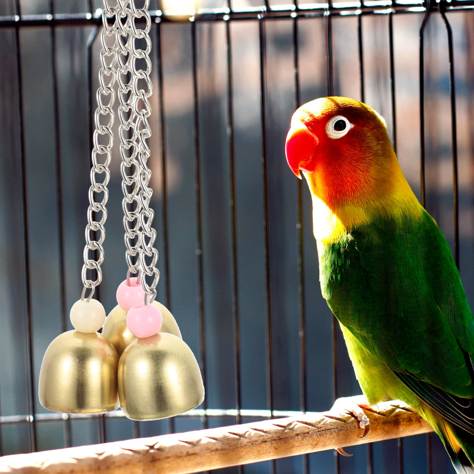 Rattle The Bell Parrot Toy for Large Birds - Stainless Steel Cage Decor for Parakeets, Cockatiels, and Small Tail Birds - Image 4
