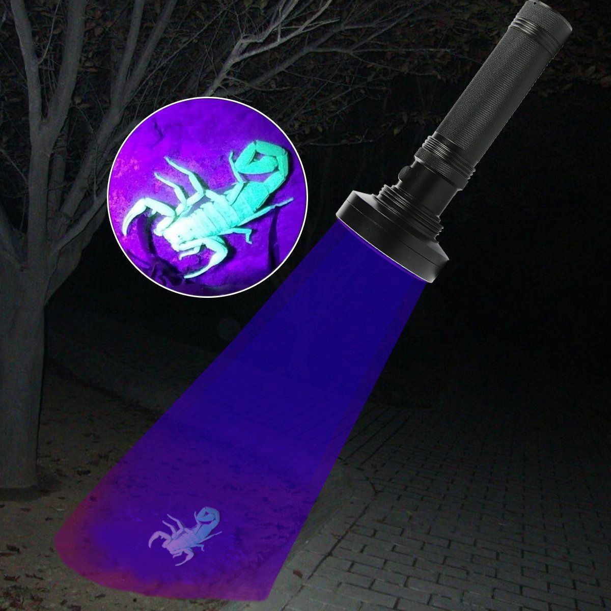 Ultraviolet Flashlights UV Detector, LED Flashlights  Pet Urine Detector for Cat Urine, Stains, Bed Bug, Batteries not Included (100-UV purple flashlight) - Image 2