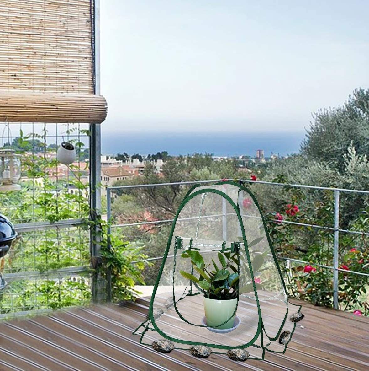 Pop Up Greenhouse Cover Flower House Mini Gardening Plant Flower Sunshine Room Room,Backyard PVC Greenhouse Cover for Cold Frost Protector Gardening Plants(70*70*80cm) - Image 3