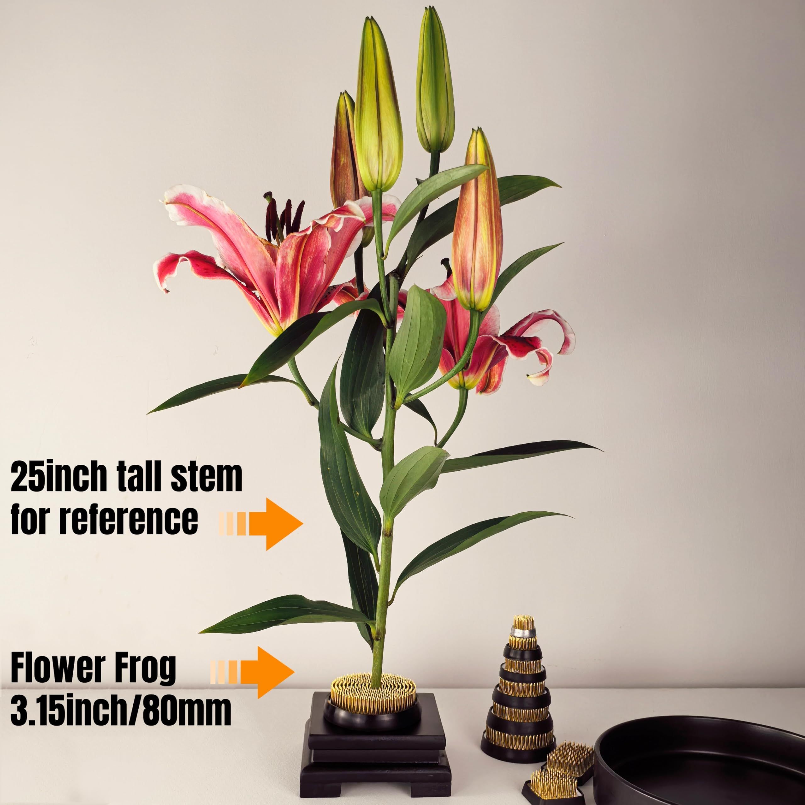 80mm Flower Frog Large Floral Frog Flower Arrangements Supplies Ikebana with Rubber Base (3.15inch) - Image 4