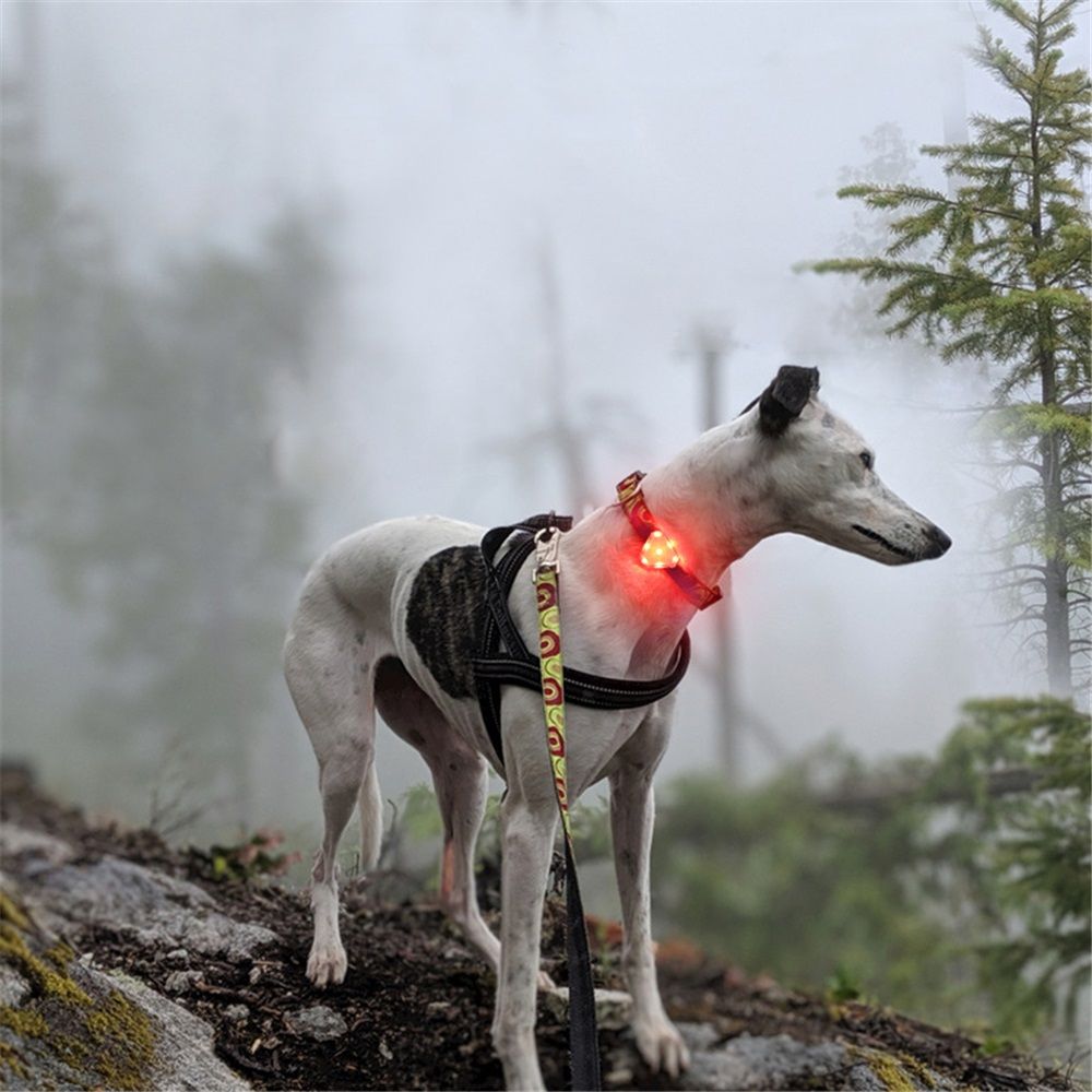 2pcs Rechargeable Collar Light - Carabiner Keychain Clip with LED Light - Clip Color-Changing Light for Dog Collars - Image 2