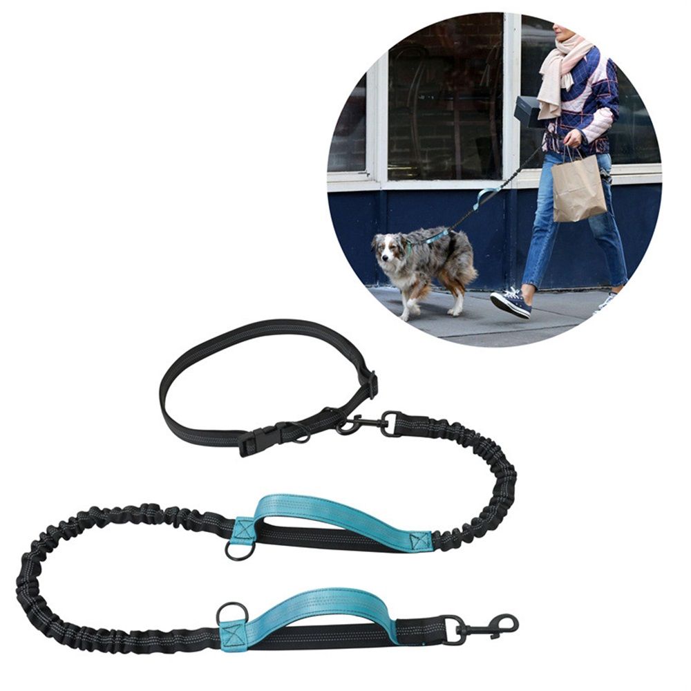 Hands Free Waist Leash for Dog Running Training and Jogging, Adjustable Belt with Double Handle, Reflective Bungee for Medium Large Dogs( Blue) - Image 2
