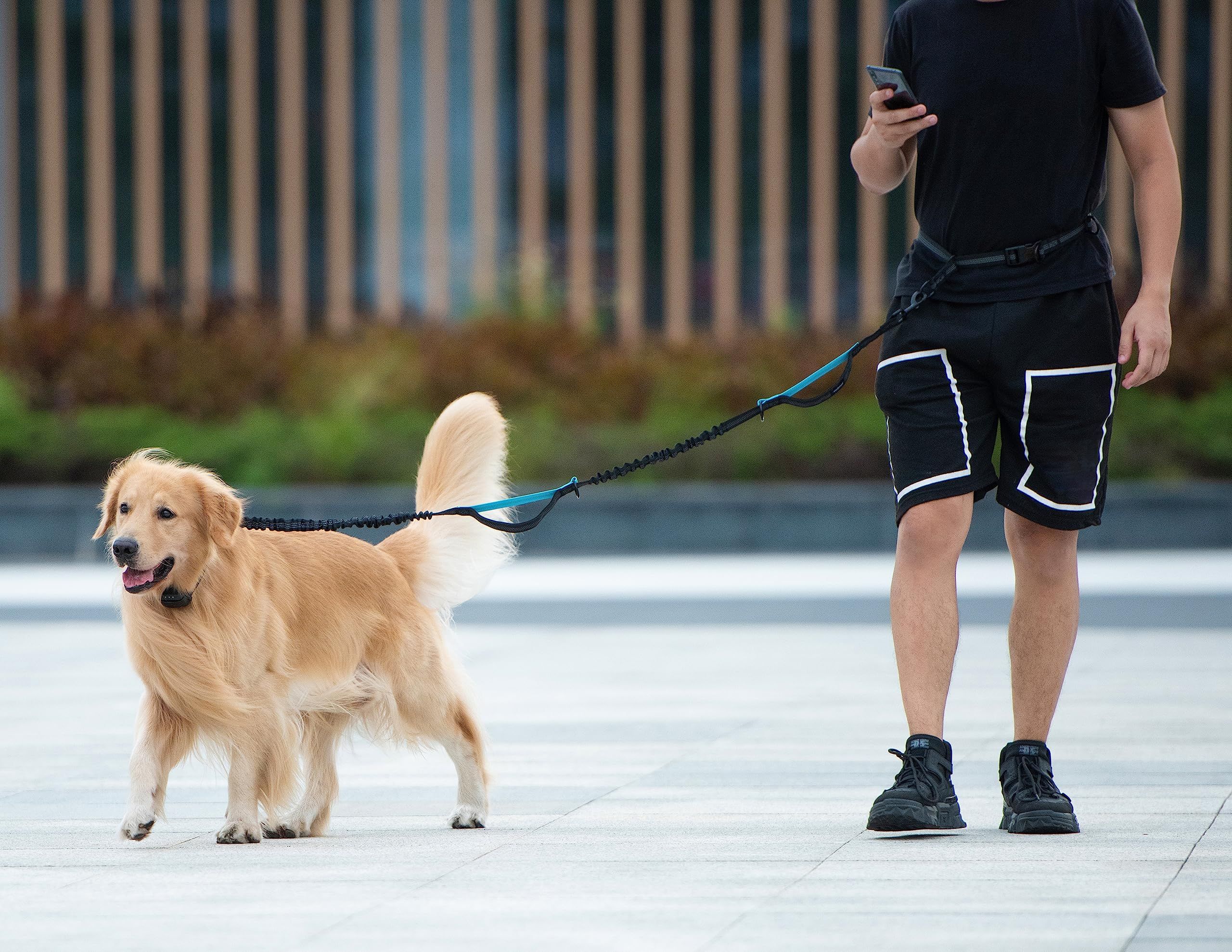 Hands Free Waist Leash for Dog Running Training and Jogging, Adjustable Belt with Double Handle, Reflective Bungee for Medium Large Dogs( Blue) - Image 5