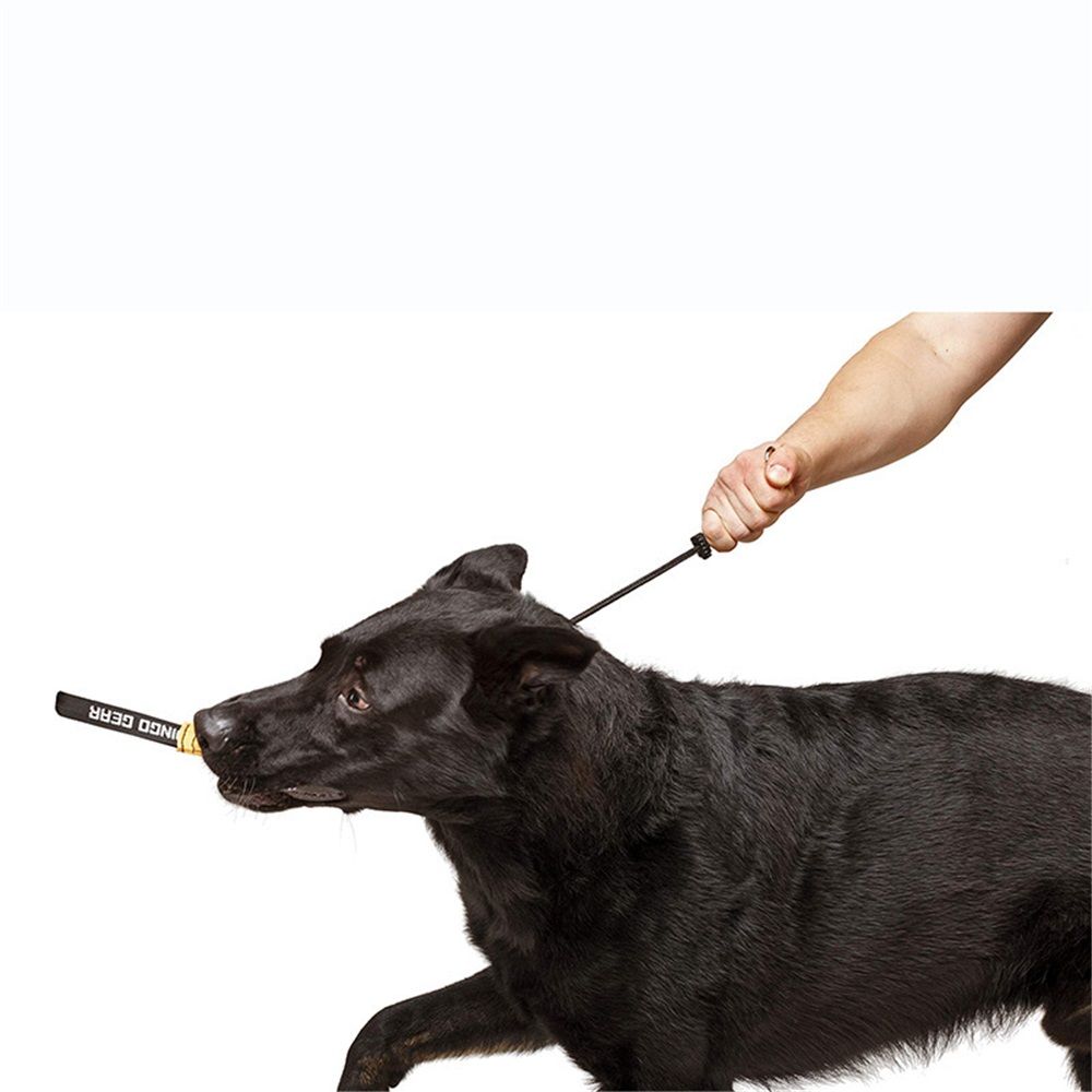 Slip ring black pet training P-chain explosion-proof drawstring with limiter, medium and large dog training rope( 40CM) - Image 4