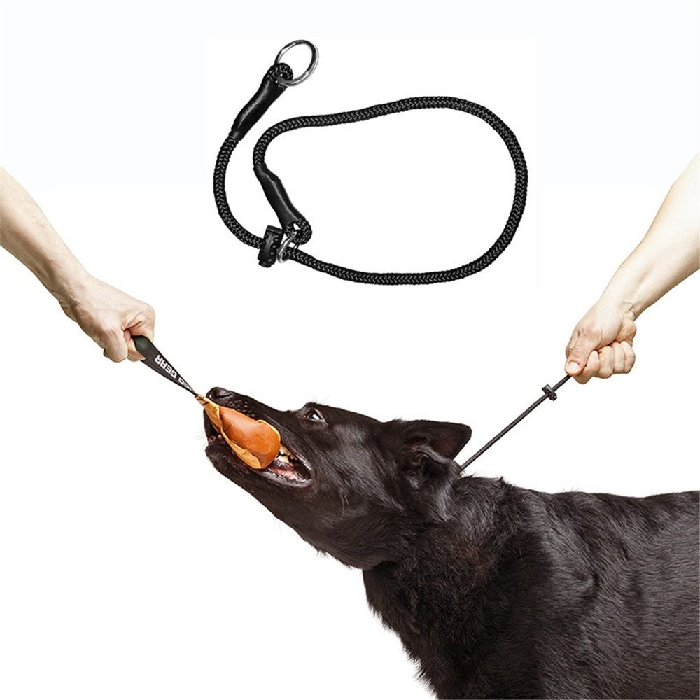 Slip ring black pet training P-chain explosion-proof drawstring with limiter, medium and large dog training rope( 40CM) - Image 5