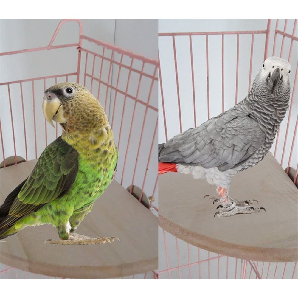 Flat Platform Stand, Easy to Install, Safe and Stable, Smooth Polishing Without Hurting Feet, Solid Hardwood Bird Cage Perches（10*10） - Image 3