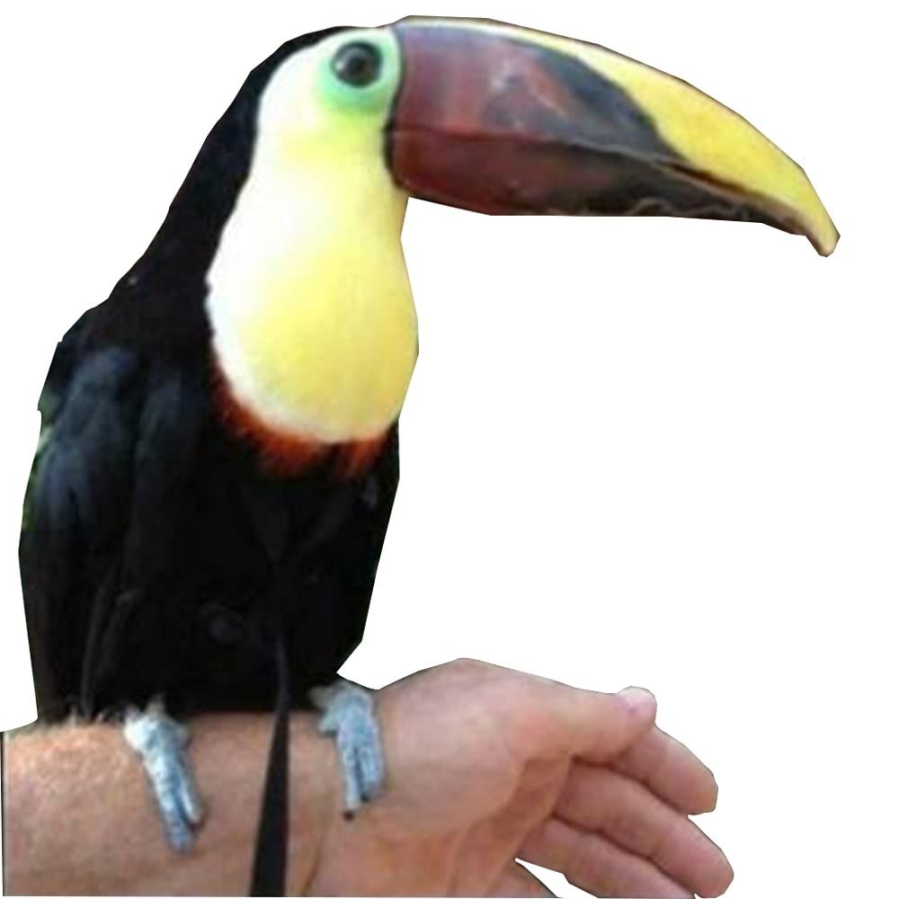 Adjustable Birds Harness and Leash Parrot Harness Leash Training Supplies Pet Anti-bite Outdoor Flying Rope (M, Black) - Image 3