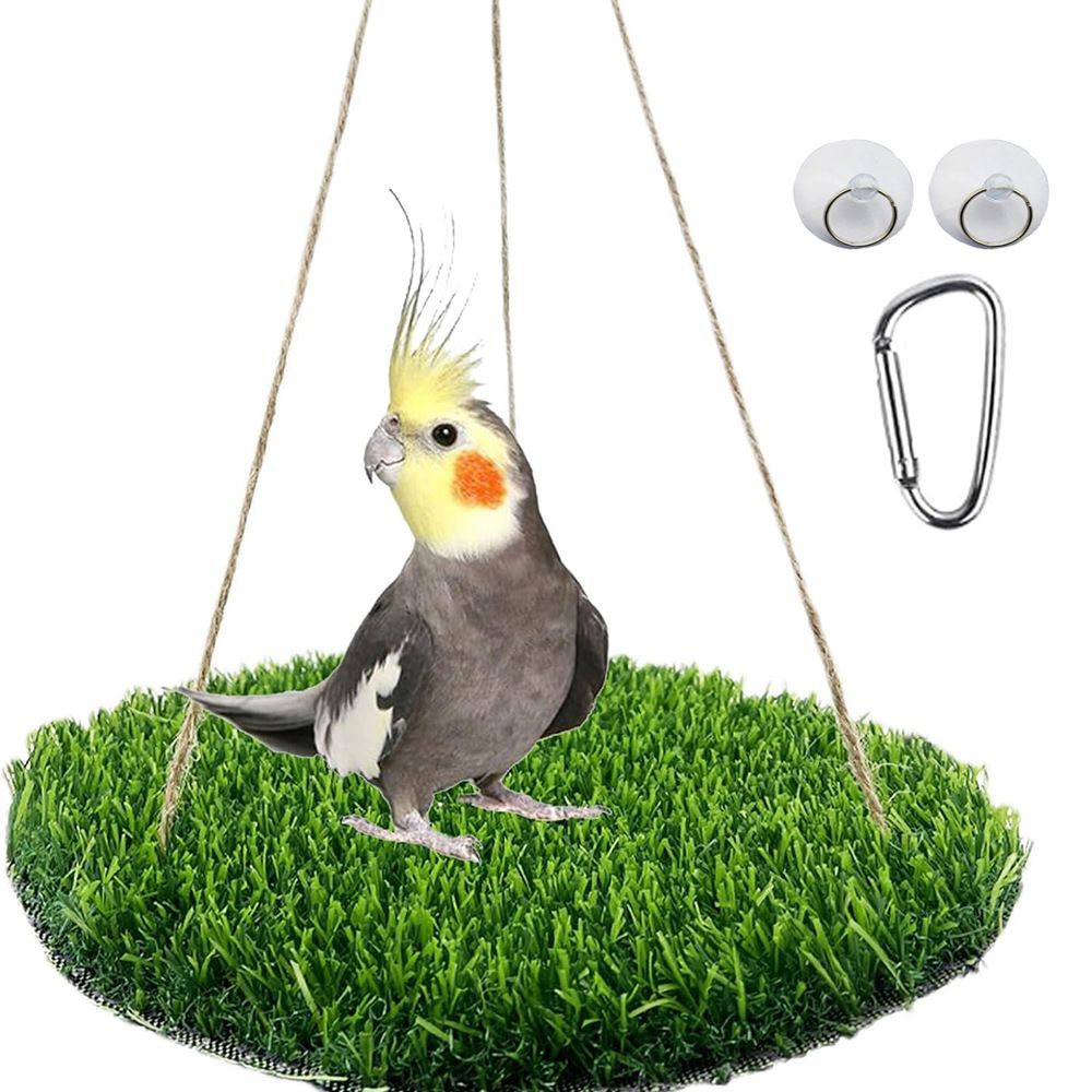 Large Bird Foraging Mat Toys, Natural Bird Grass Hammock Swing Toy with Hooks, Climbing Perch Hanging Toy for Parakeets, Parrot, Cockatiels, Bearded Dragon, Snake（rotundity） - Image 1