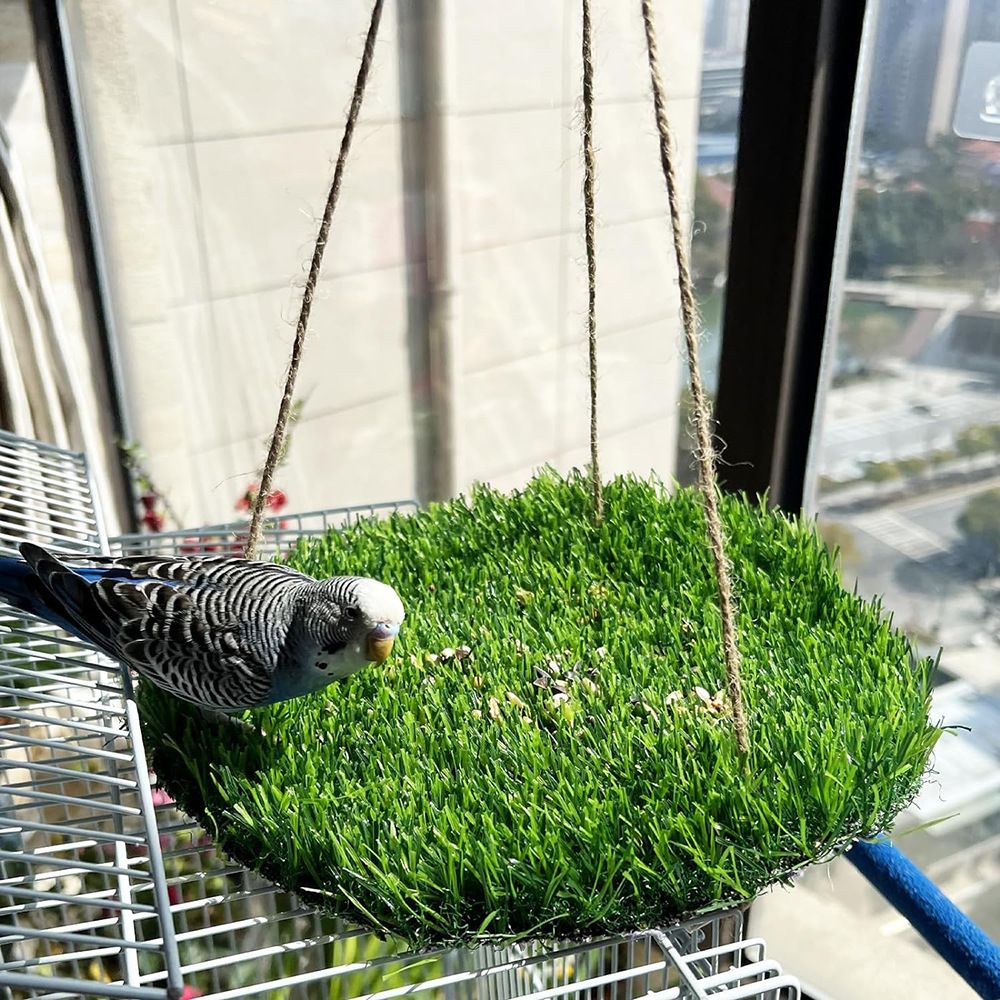 Large Bird Foraging Mat Toys, Natural Bird Grass Hammock Swing Toy with Hooks, Climbing Perch Hanging Toy for Parakeets, Parrot, Cockatiels, Bearded Dragon, Snake（rotundity） - Image 2