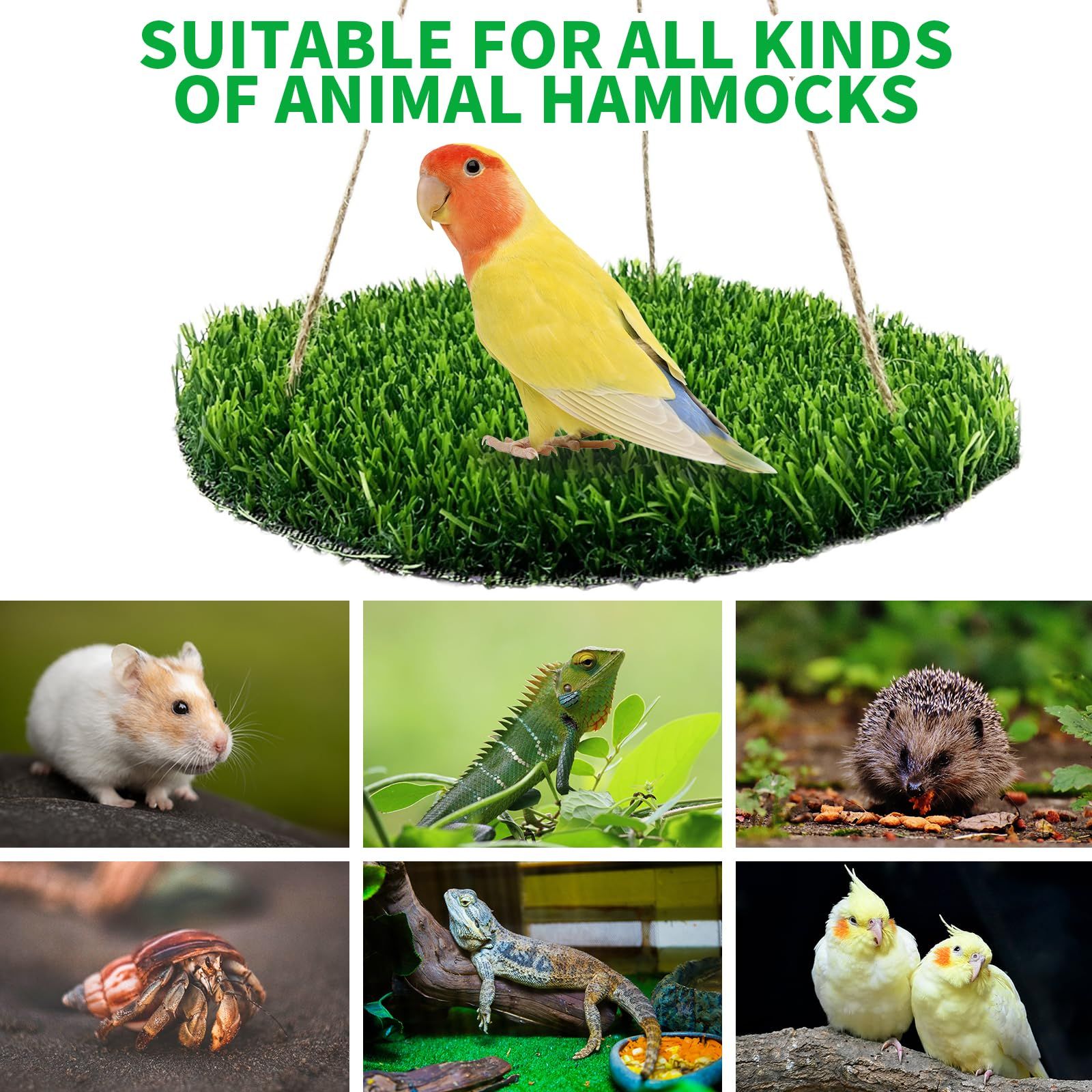 Large Bird Foraging Mat Toys, Natural Bird Grass Hammock Swing Toy with Hooks, Climbing Perch Hanging Toy for Parakeets, Parrot, Cockatiels, Bearded Dragon, Snake（rotundity） - Image 4