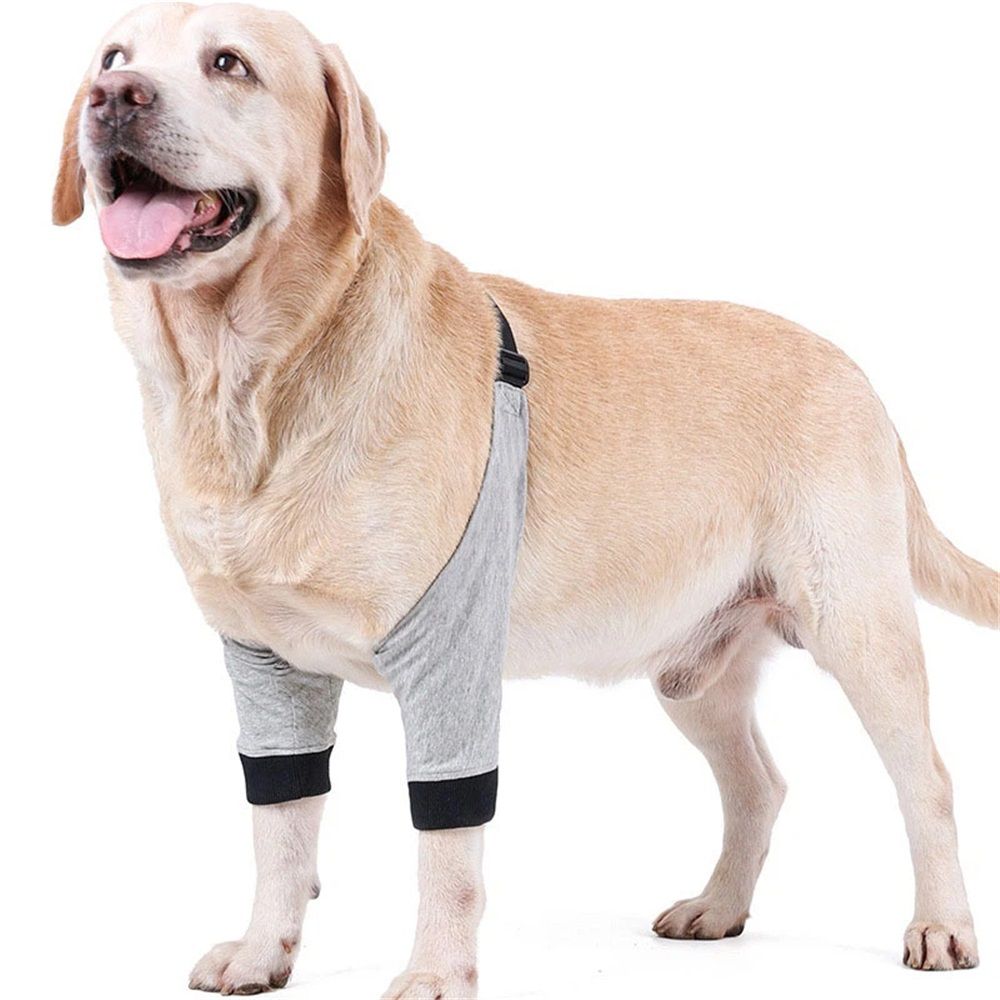 Dog Elbow Protector for Calluses, Recovery Suit for Front Legs, Cone Collar Alternative to Stop Licking Wounds, Cover Sleeve for Small Medium Large Dogs gray (M) - Image 2