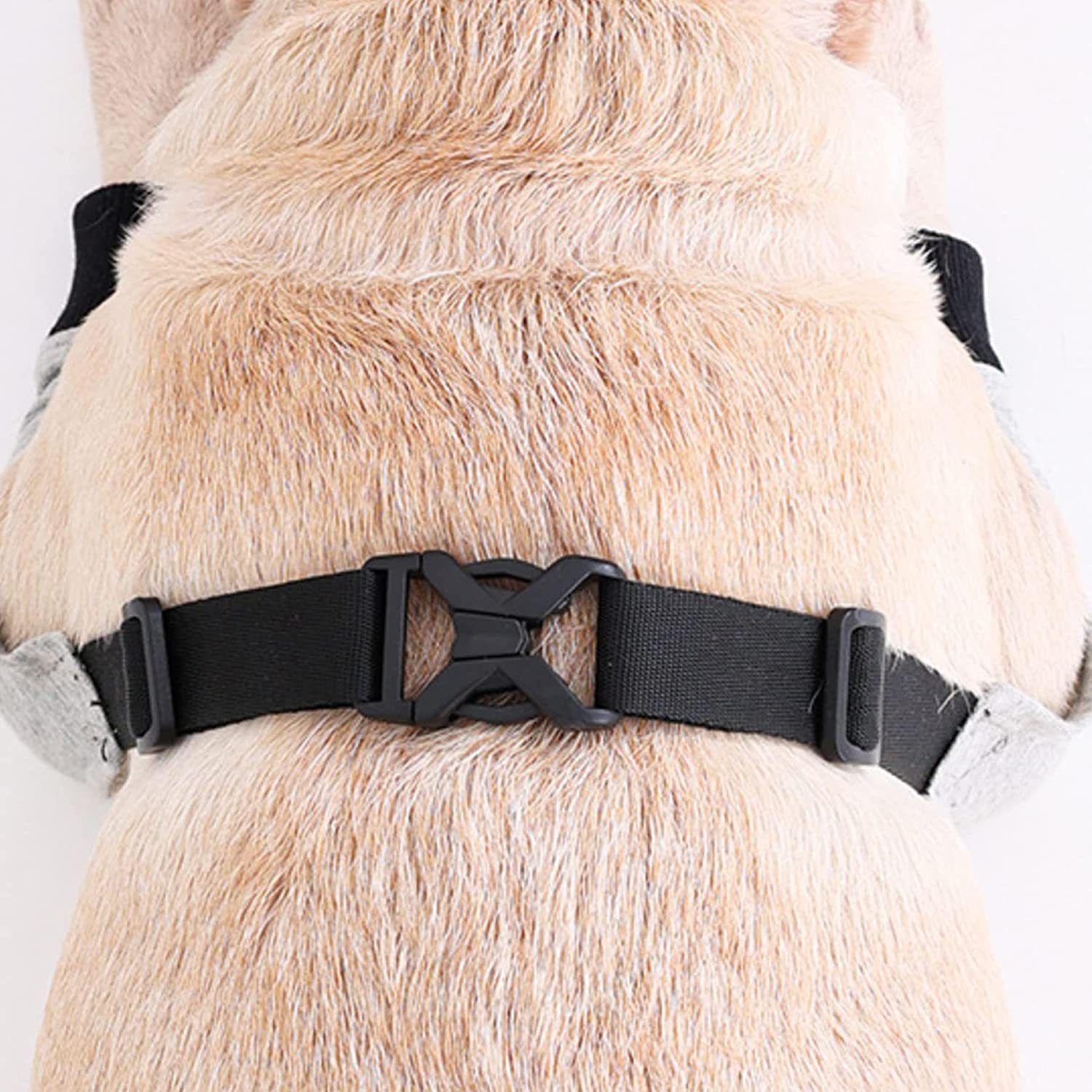 Dog Elbow Protector for Calluses, Recovery Suit for Front Legs, Cone Collar Alternative to Stop Licking Wounds, Cover Sleeve for Small Medium Large Dogs gray (M) - Image 4