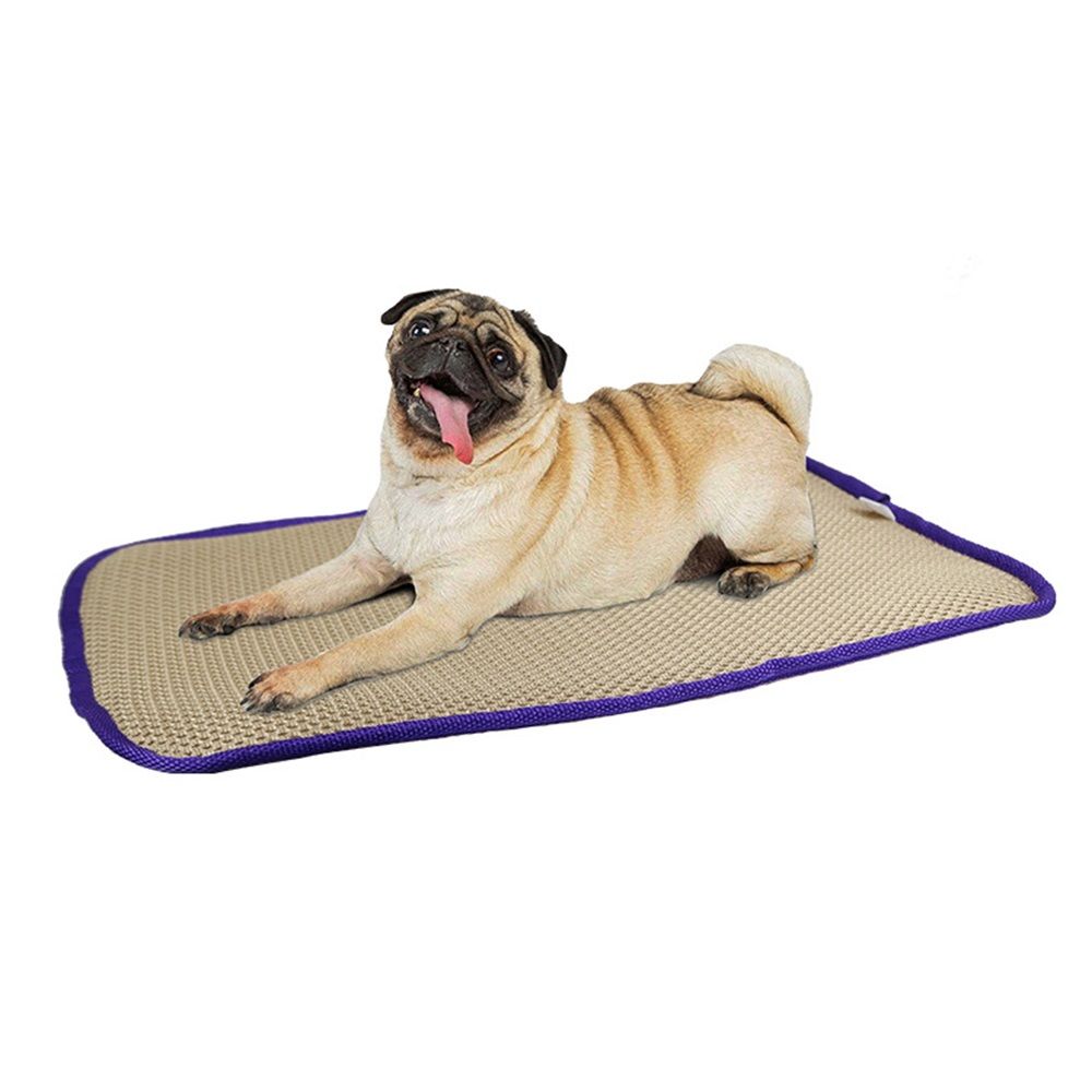 Pet Comfort Dog Pillow, Tiny 12