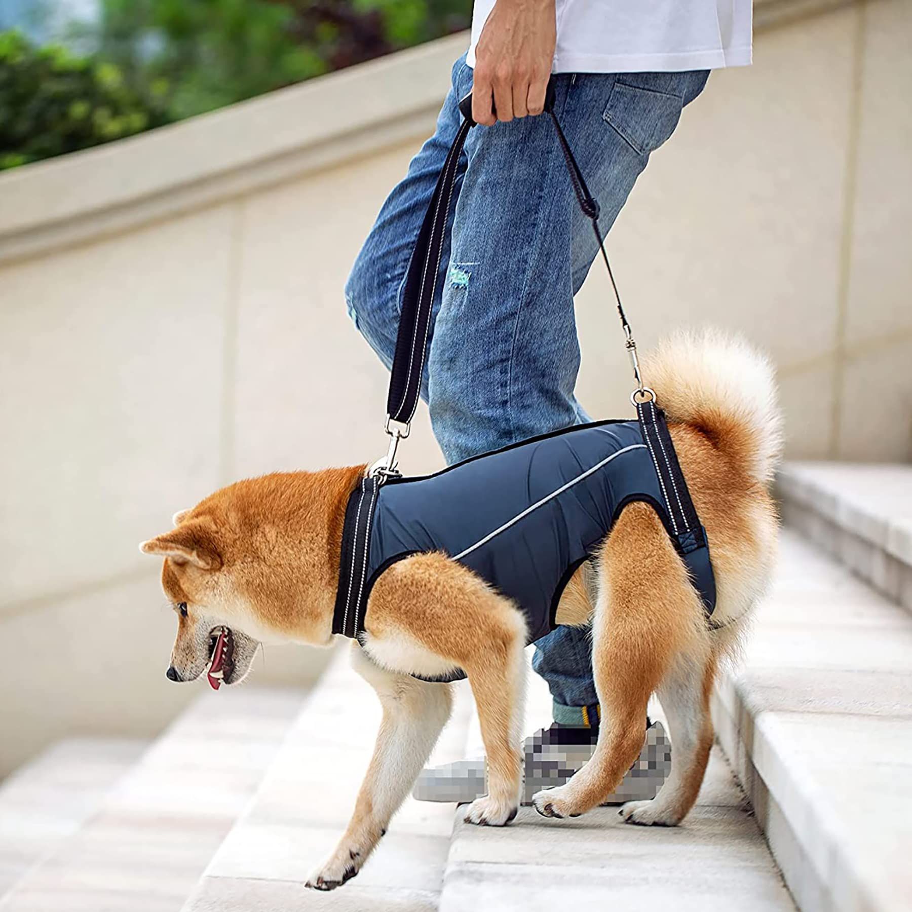 Back Legs with Handles,Adjustable Dog Lift Sling Carrier for Senior, Disabled, Joint Injuries, Arthritis, Loss of Stability Dogs（Navy blue M） - Image 2