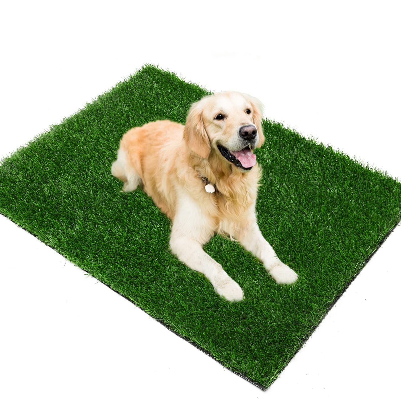 Grass Pad for Dogs 35cmx35cm, Strong Absorbency Soft and Real Grass for Pets Potty Training, Easy to Clean Fake Grass for Dog Indoor Outdoor Use (1 Pcs) - Image 1