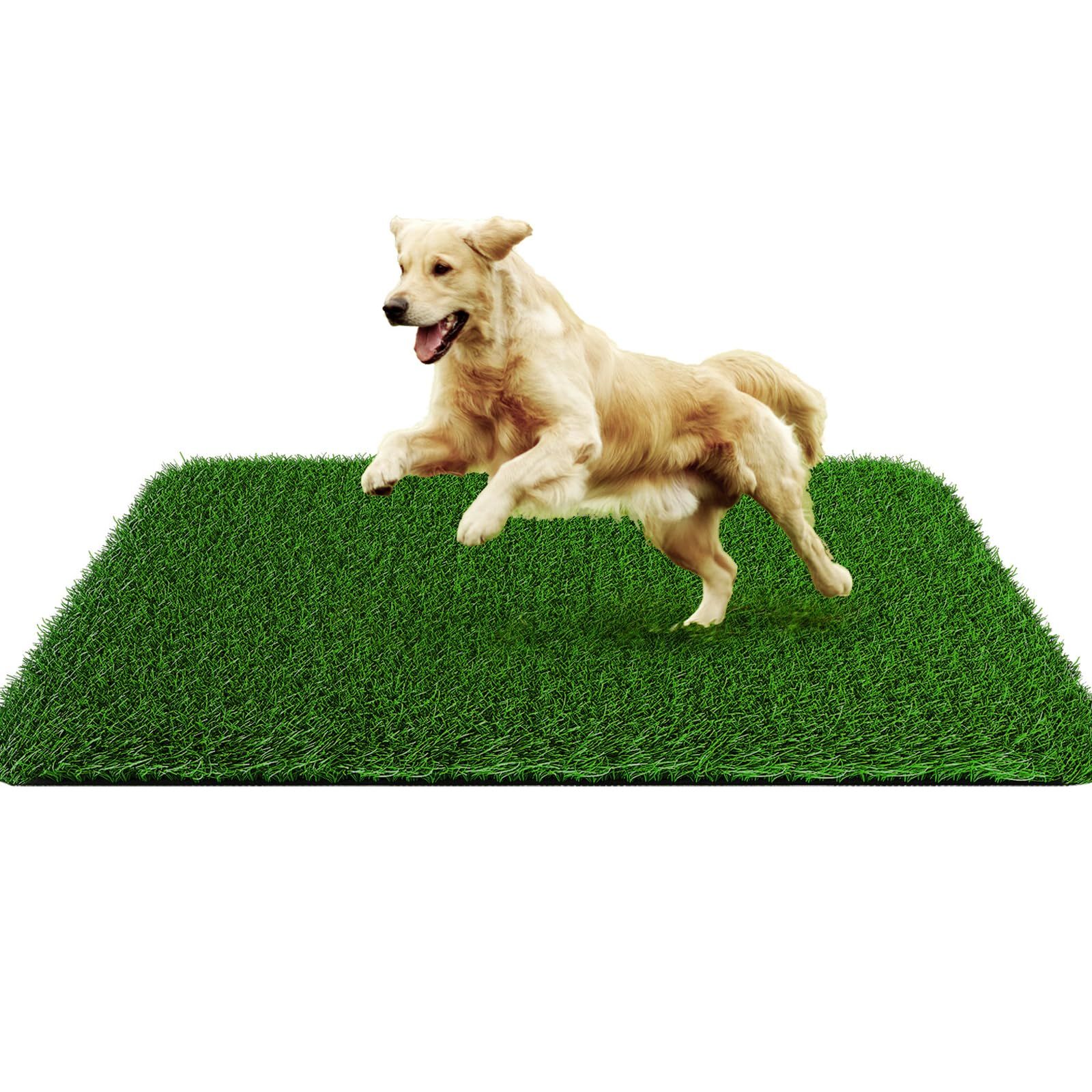 Grass Pad for Dogs 35cmx35cm, Strong Absorbency Soft and Real Grass for Pets Potty Training, Easy to Clean Fake Grass for Dog Indoor Outdoor Use (1 Pcs) - Image 2