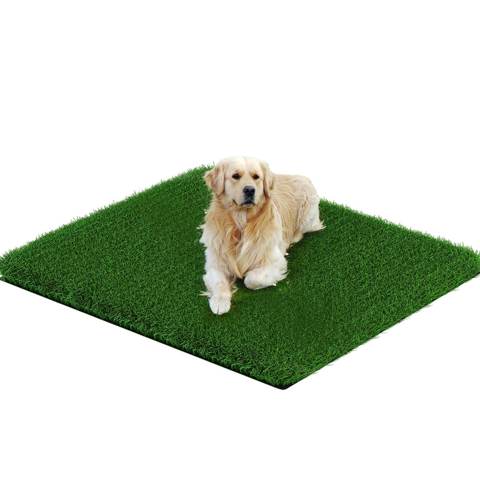 Grass Pad for Dogs 35cmx35cm, Strong Absorbency Soft and Real Grass for Pets Potty Training, Easy to Clean Fake Grass for Dog Indoor Outdoor Use (1 Pcs) - Image 3