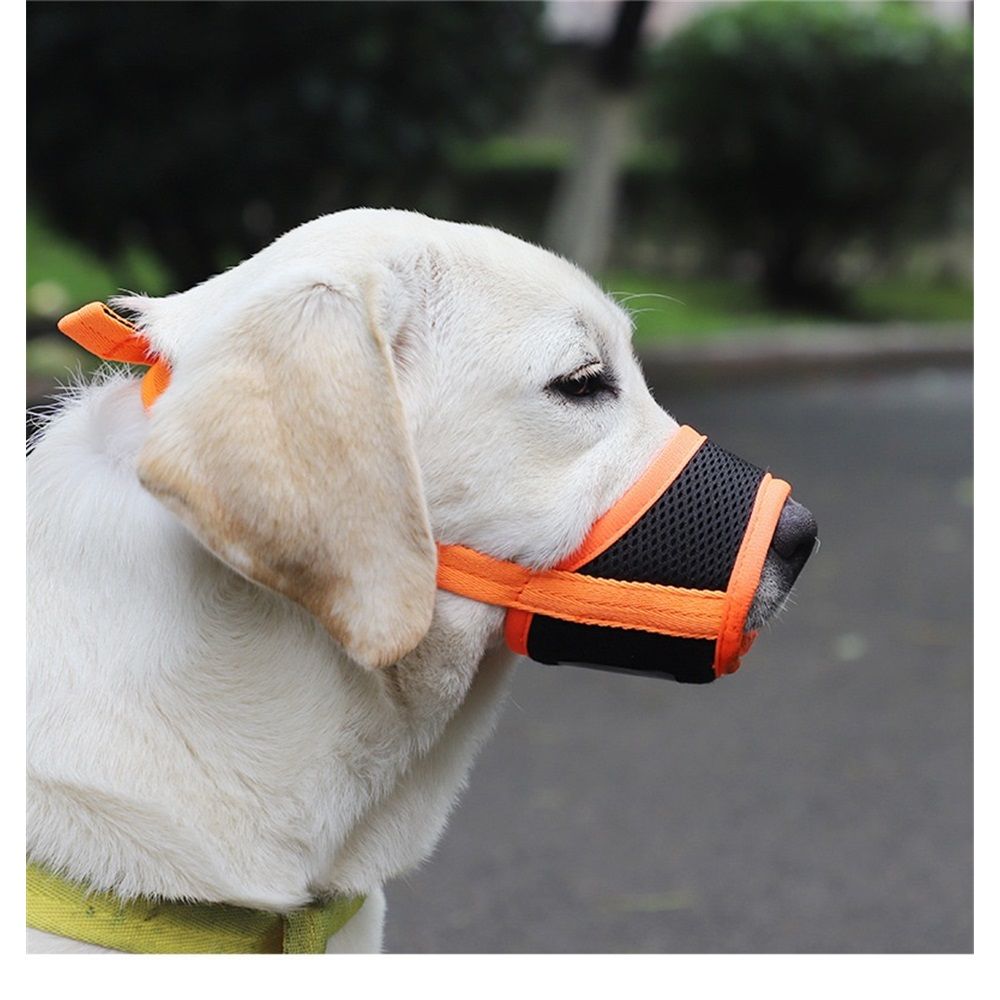 2 pack Dog Muzzle Anti Biting Barking and Chewing with Comfortable Mesh Soft Fabric and Adjustable Strap, Suitable for Small, Medium and Large Dogs(L) - Image 1