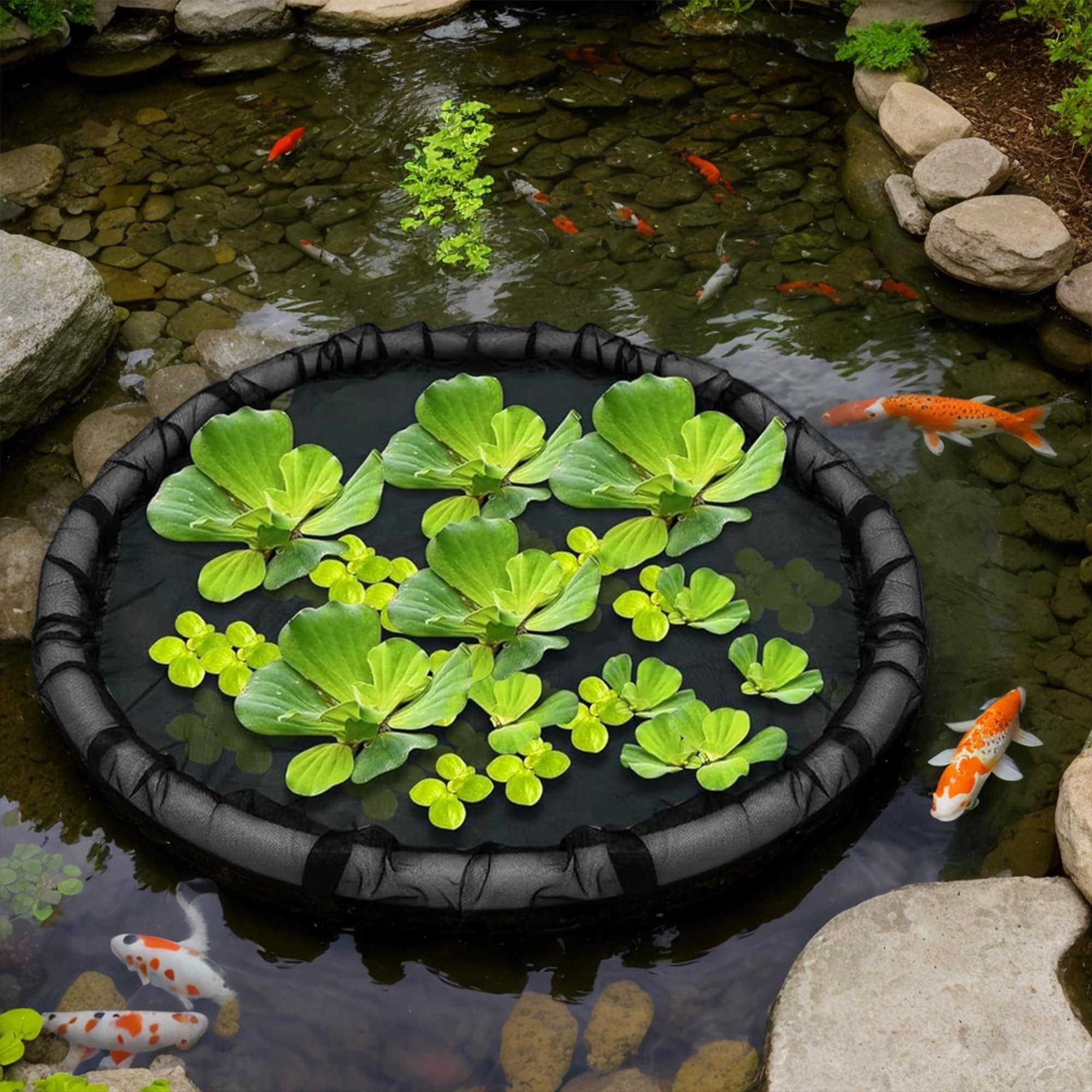 1Pack Floating Flora Fish Barrier Floating Island Plant Protector Round Floating Flora Island for Pond Protects Your Floating Plants from Pond Fish（black 45cm） - Image 2