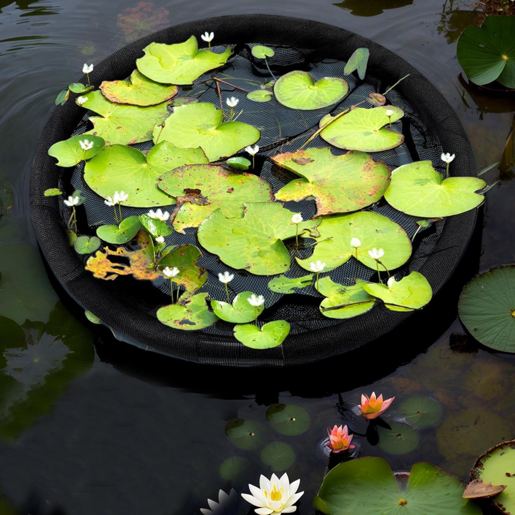 1Pack Floating Flora Fish Barrier Floating Island Plant Protector Round Floating Flora Island for Pond Protects Your Floating Plants from Pond Fish（black 45cm） - Image 5